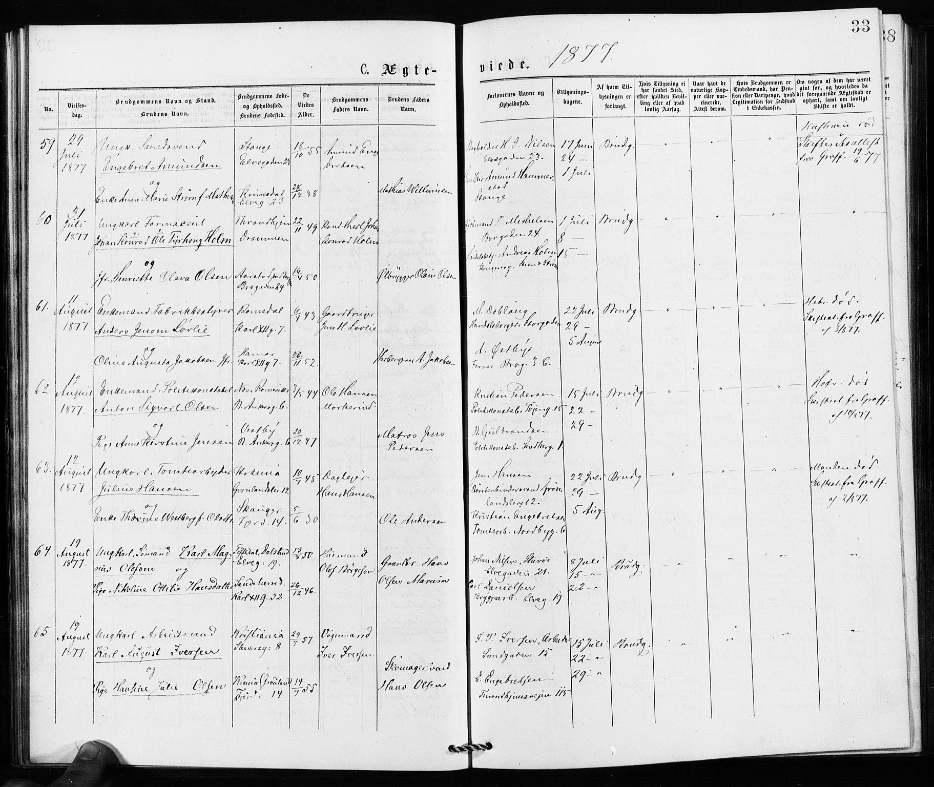 Jakob prestekontor Kirkebøker, AV/SAO-A-10850/F/Fa/L0002: Parish register (official) no. 2, 1875-1879, p. 33