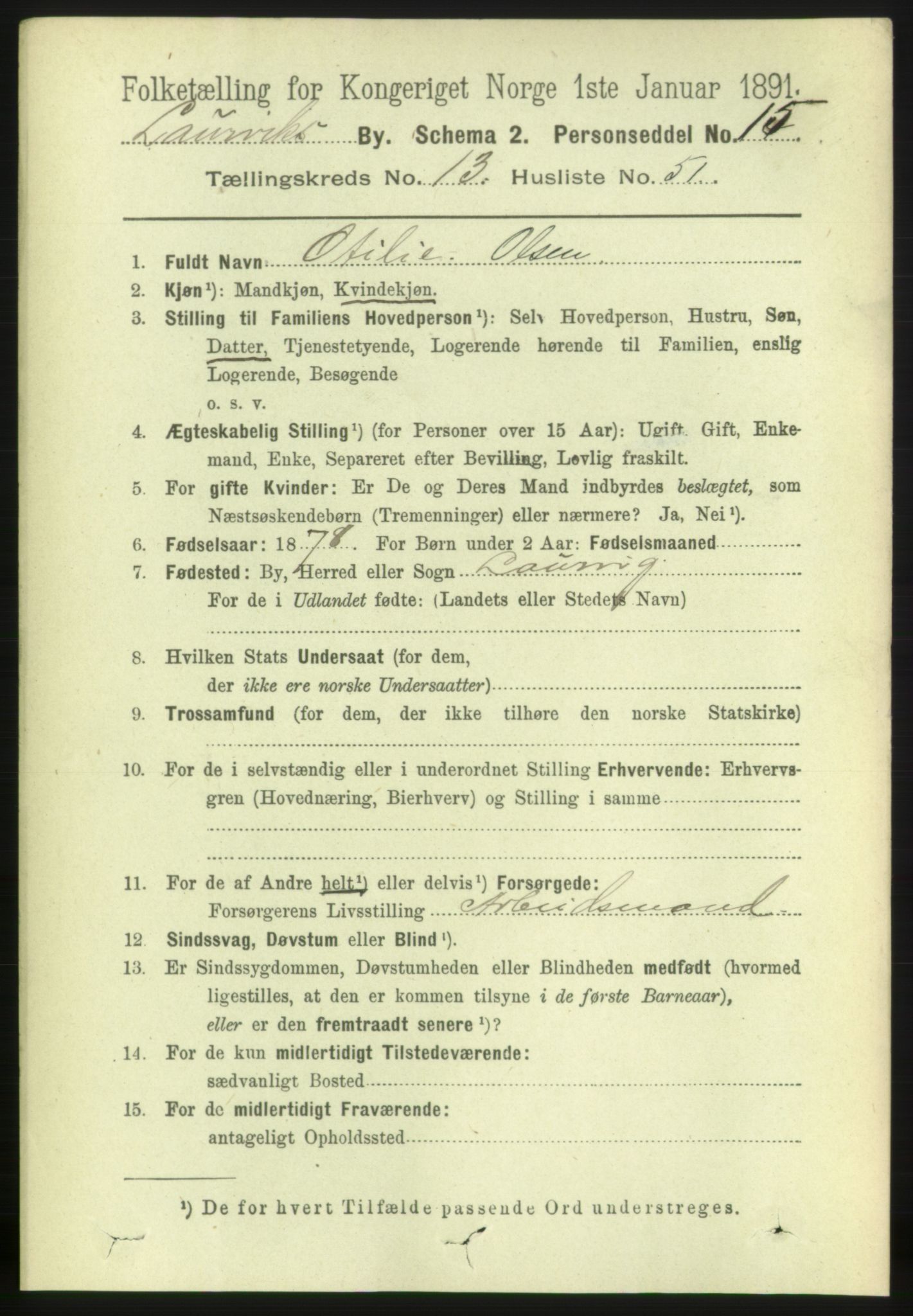 RA, 1891 census for 0707 Larvik, 1891, p. 10917