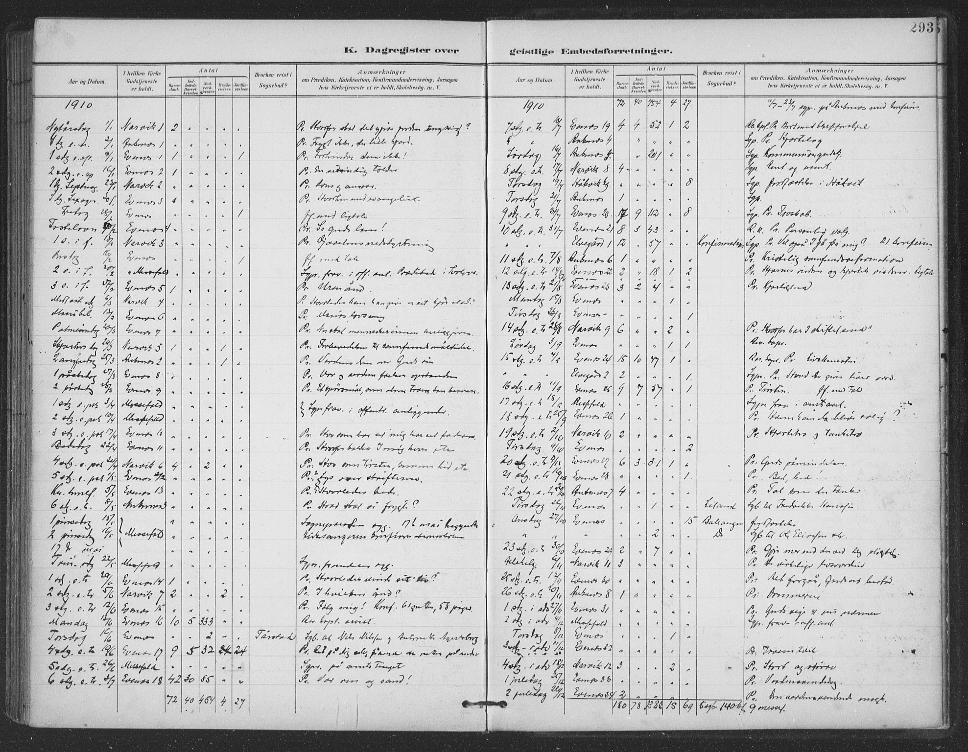 Ministerialprotokoller, klokkerbøker og fødselsregistre - Nordland, AV/SAT-A-1459/863/L0899: Parish register (official) no. 863A11, 1897-1906, p. 293