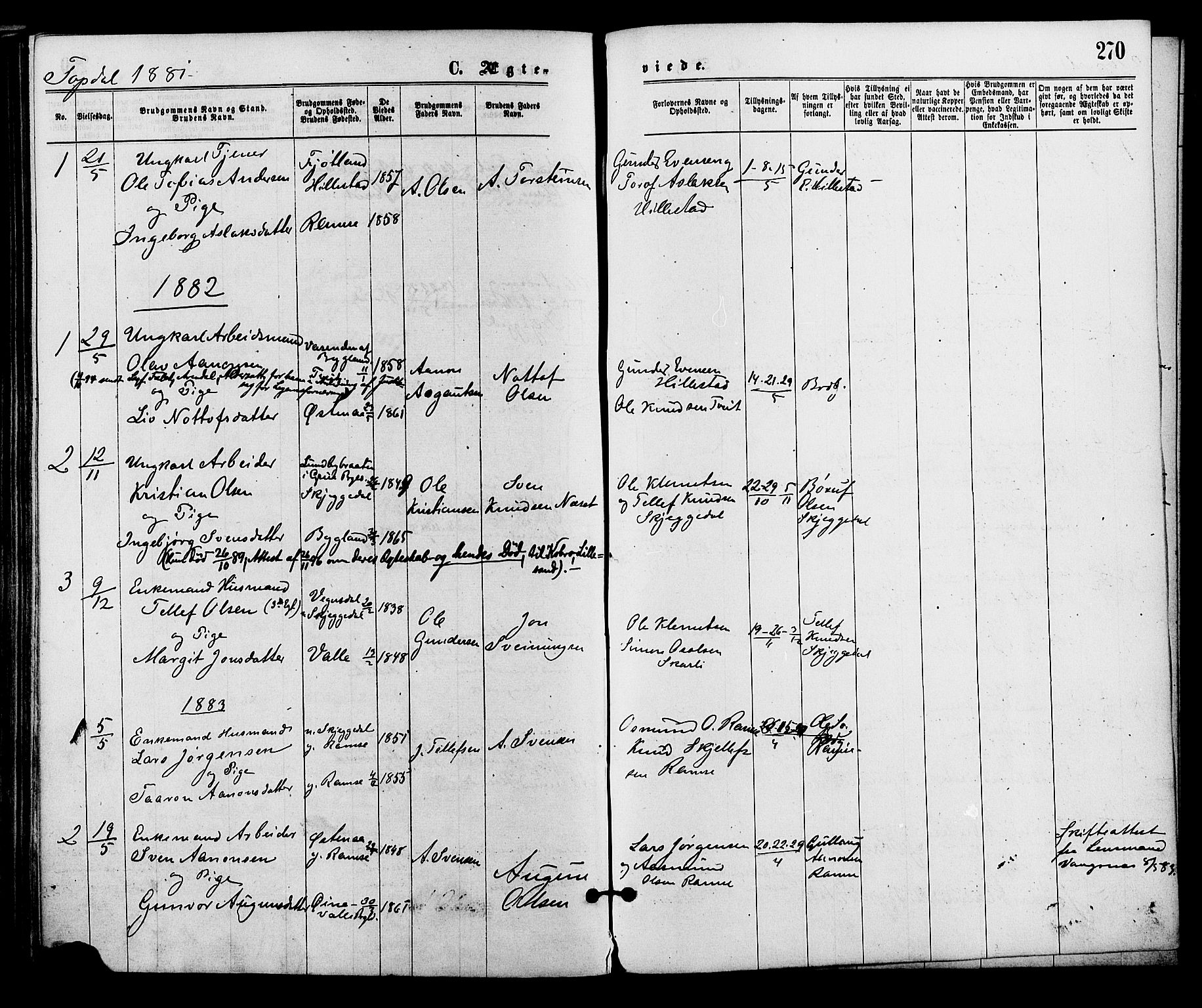 Åmli sokneprestkontor, AV/SAK-1111-0050/F/Fa/Fac/L0009: Parish register (official) no. A 9 /3, 1869-1884, p. 270