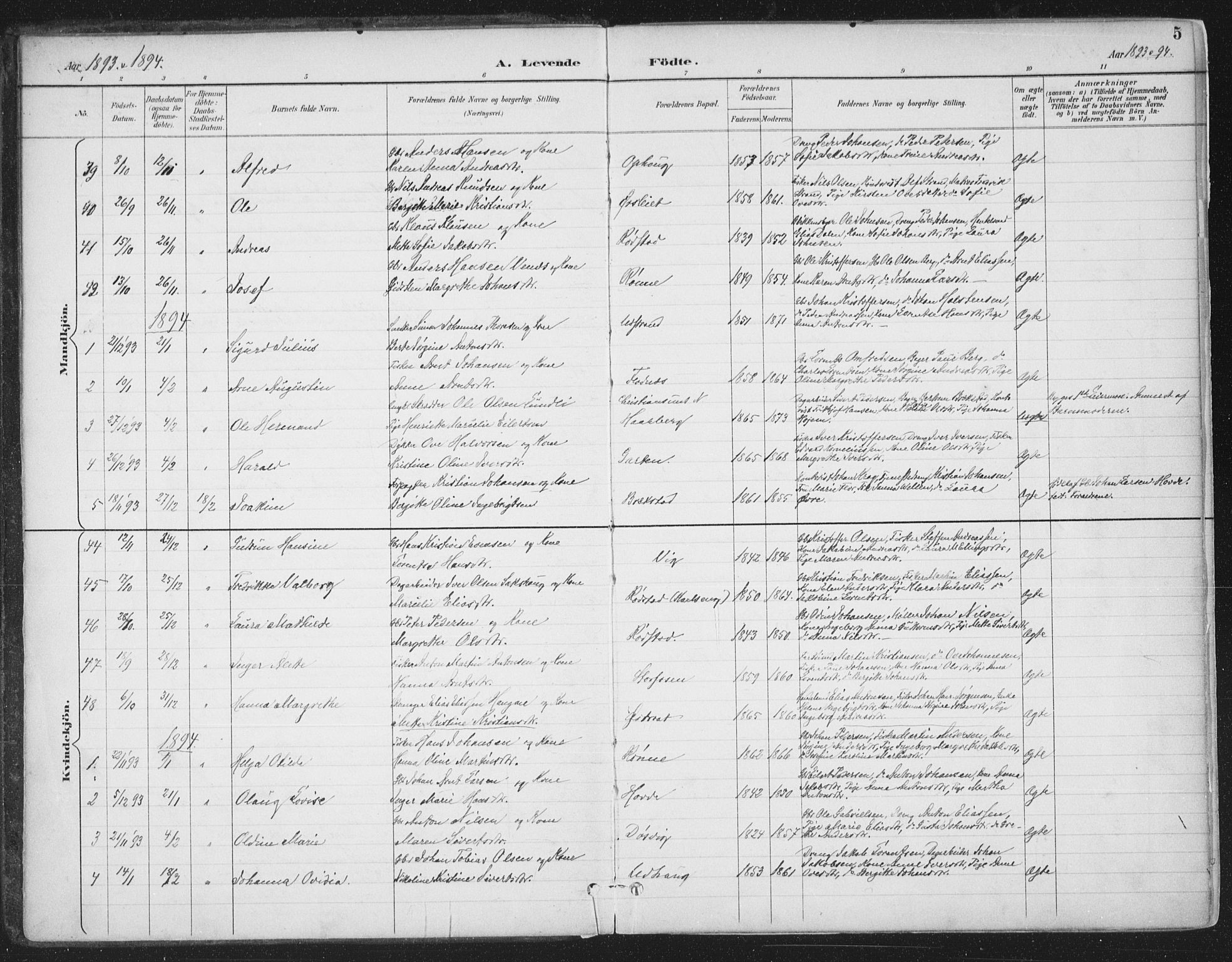 Ministerialprotokoller, klokkerbøker og fødselsregistre - Sør-Trøndelag, SAT/A-1456/659/L0743: Parish register (official) no. 659A13, 1893-1910, p. 5