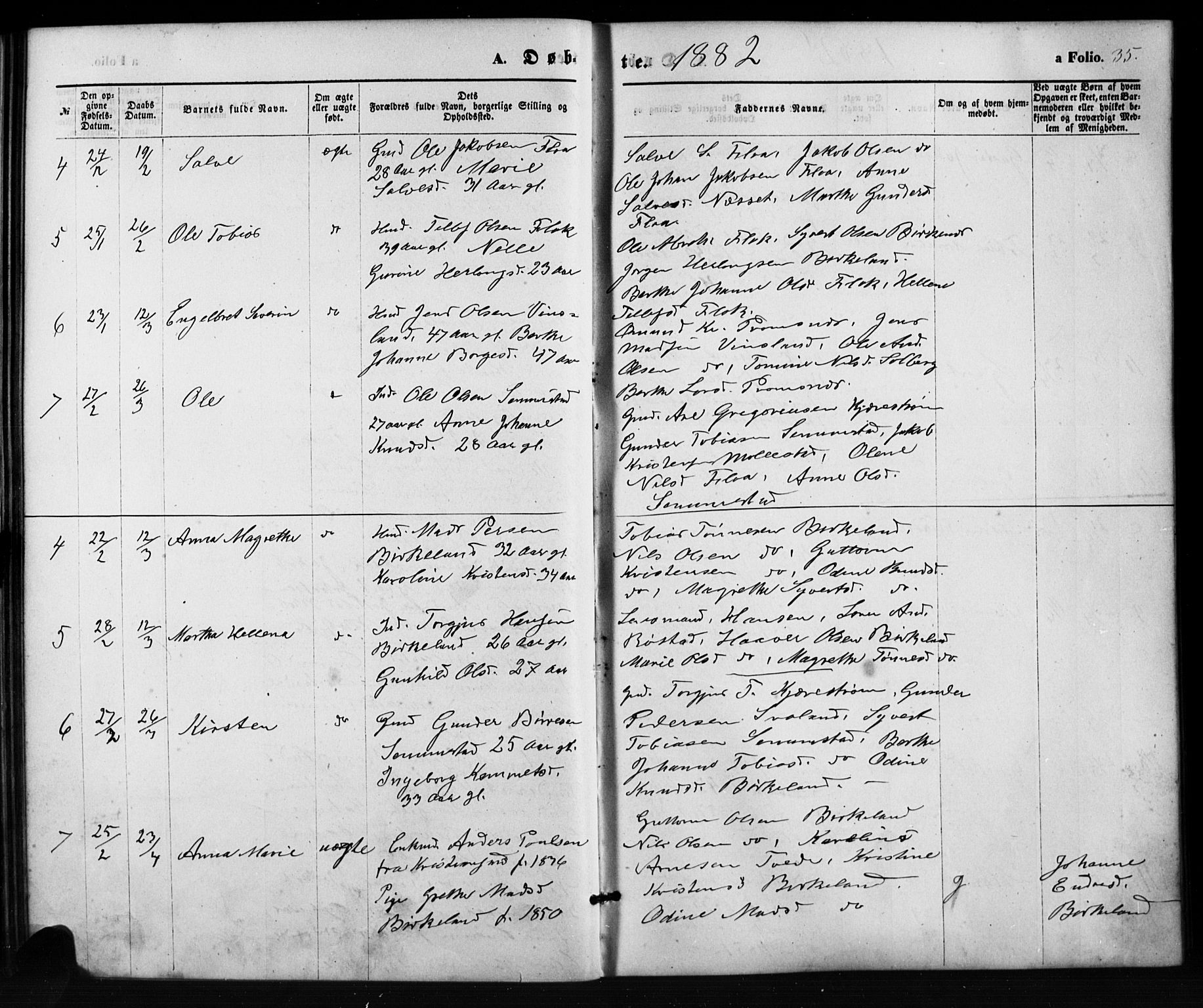 Birkenes sokneprestkontor, SAK/1111-0004/F/Fb/L0003: Parish register (copy) no. B 3, 1876-1892, p. 35