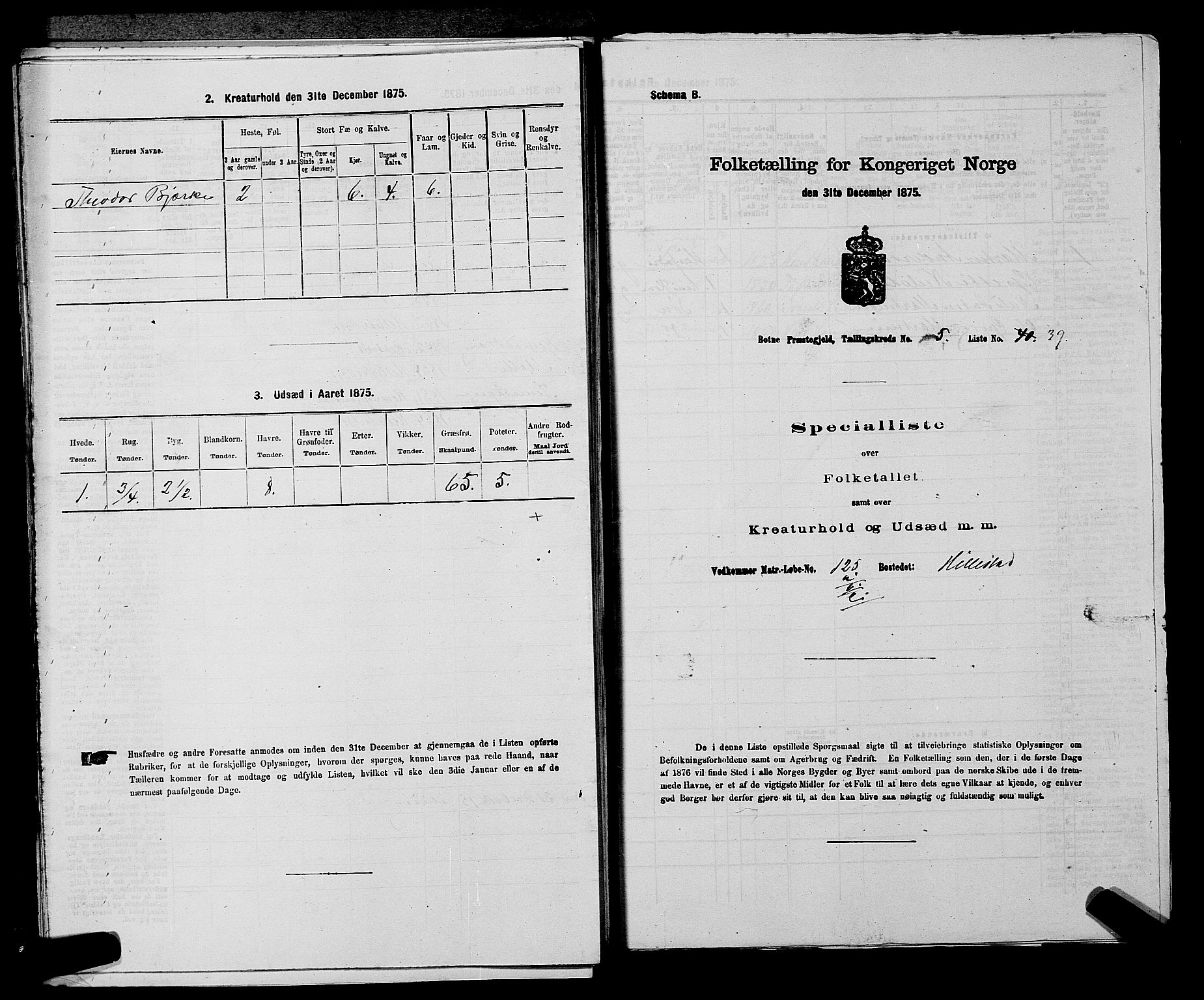 SAKO, 1875 census for 0715P Botne, 1875, p. 464