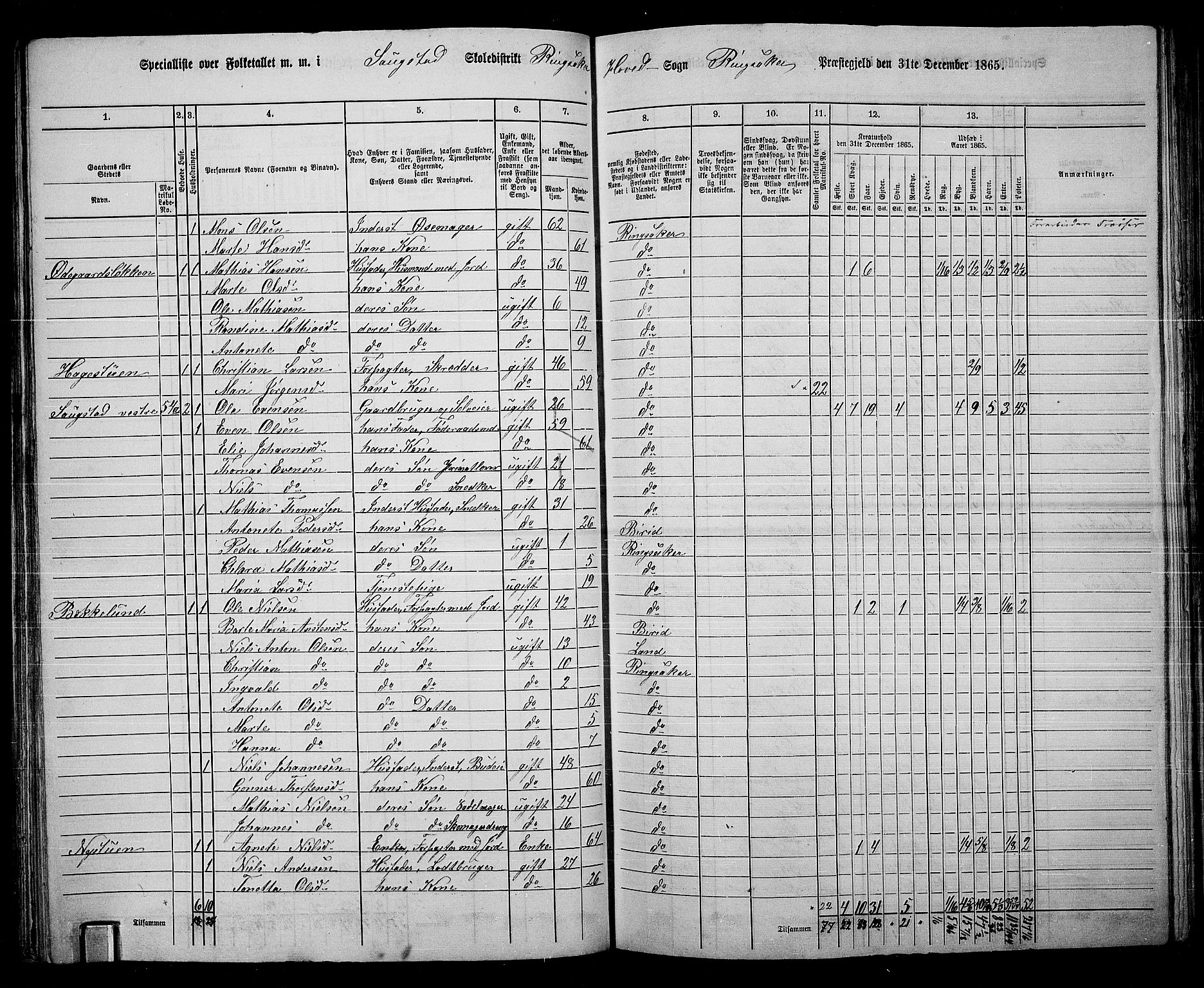 RA, 1865 census for Ringsaker, 1865, p. 103