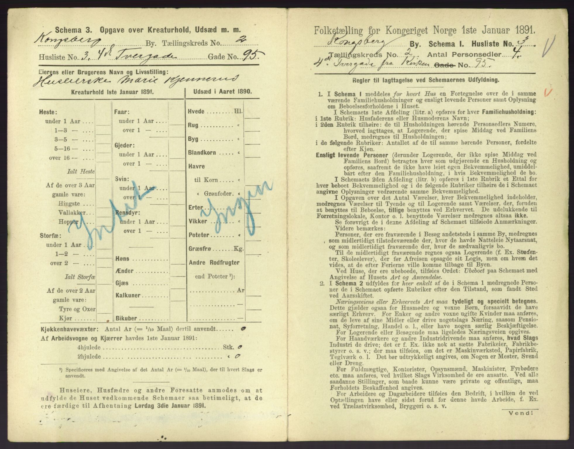 RA, 1891 census for 0604 Kongsberg, 1891, p. 197