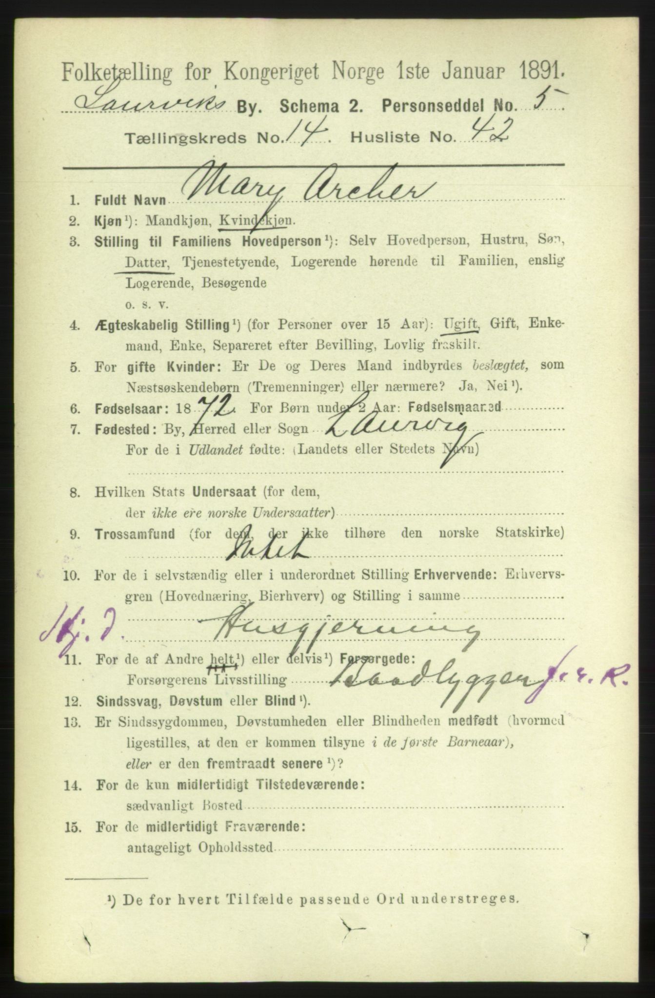 RA, 1891 census for 0707 Larvik, 1891, p. 11322