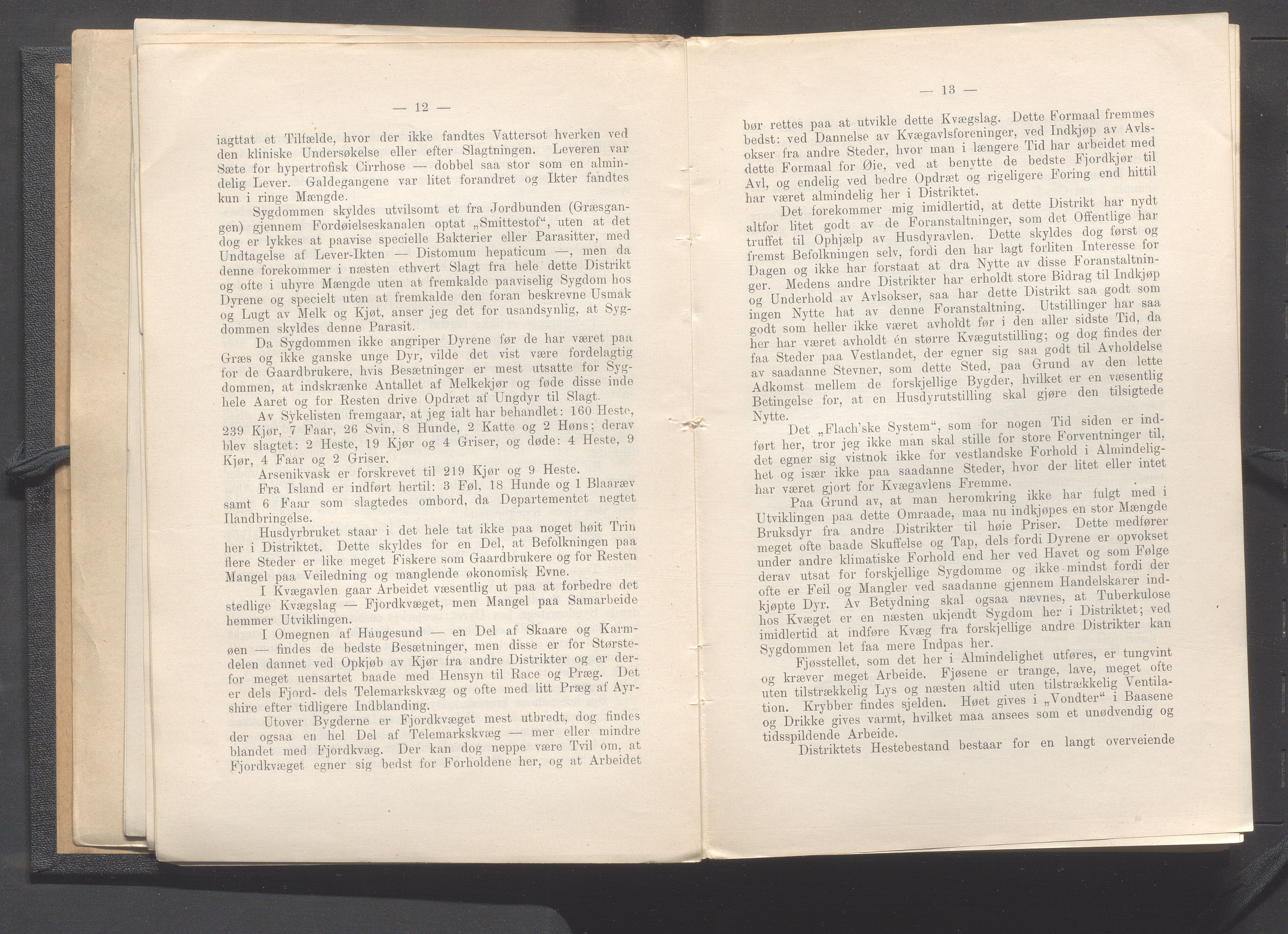 Rogaland fylkeskommune - Fylkesrådmannen , IKAR/A-900/A, 1908, p. 12