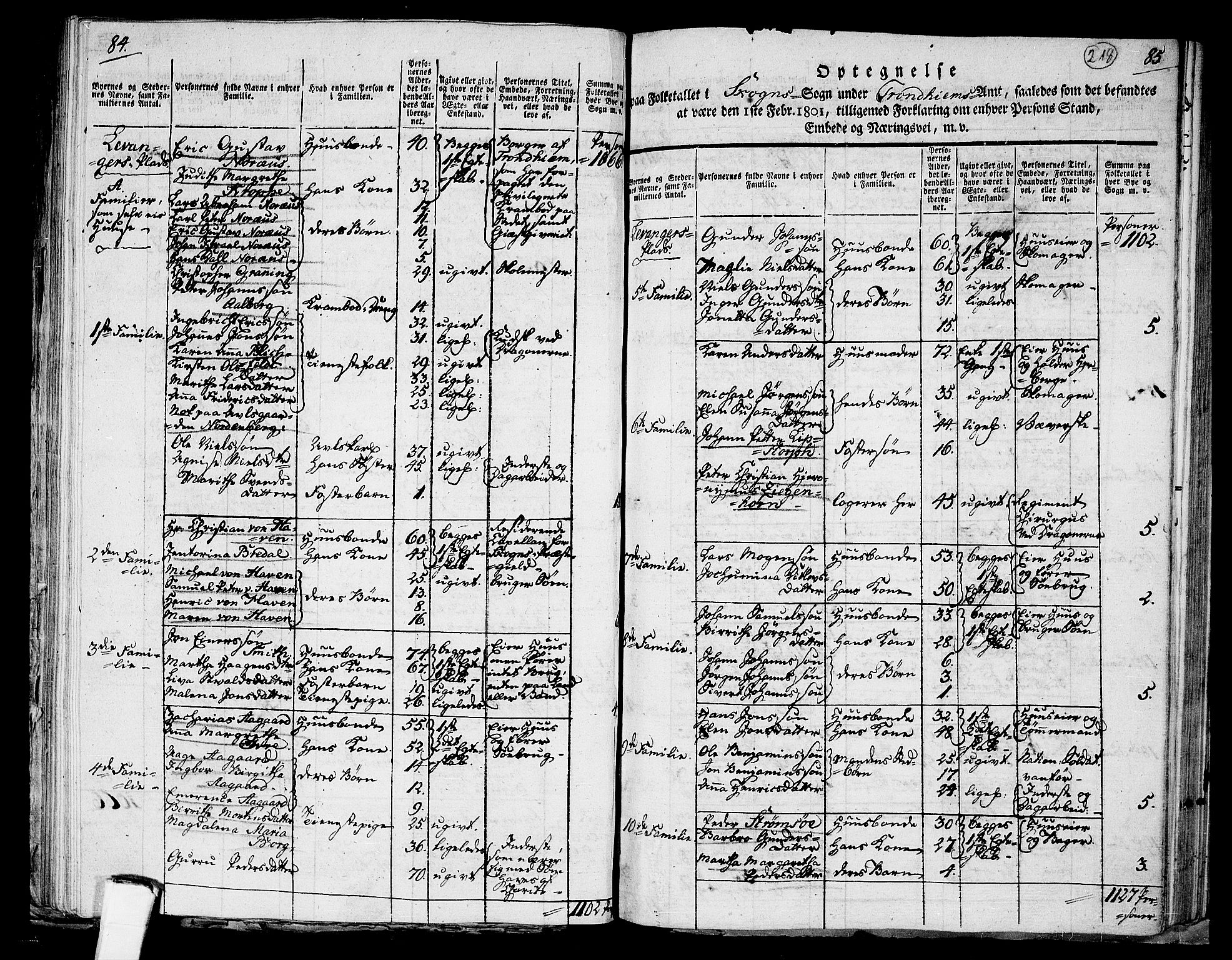 RA, 1801 census for 1719P Skogn, 1801, p. 217b-218a