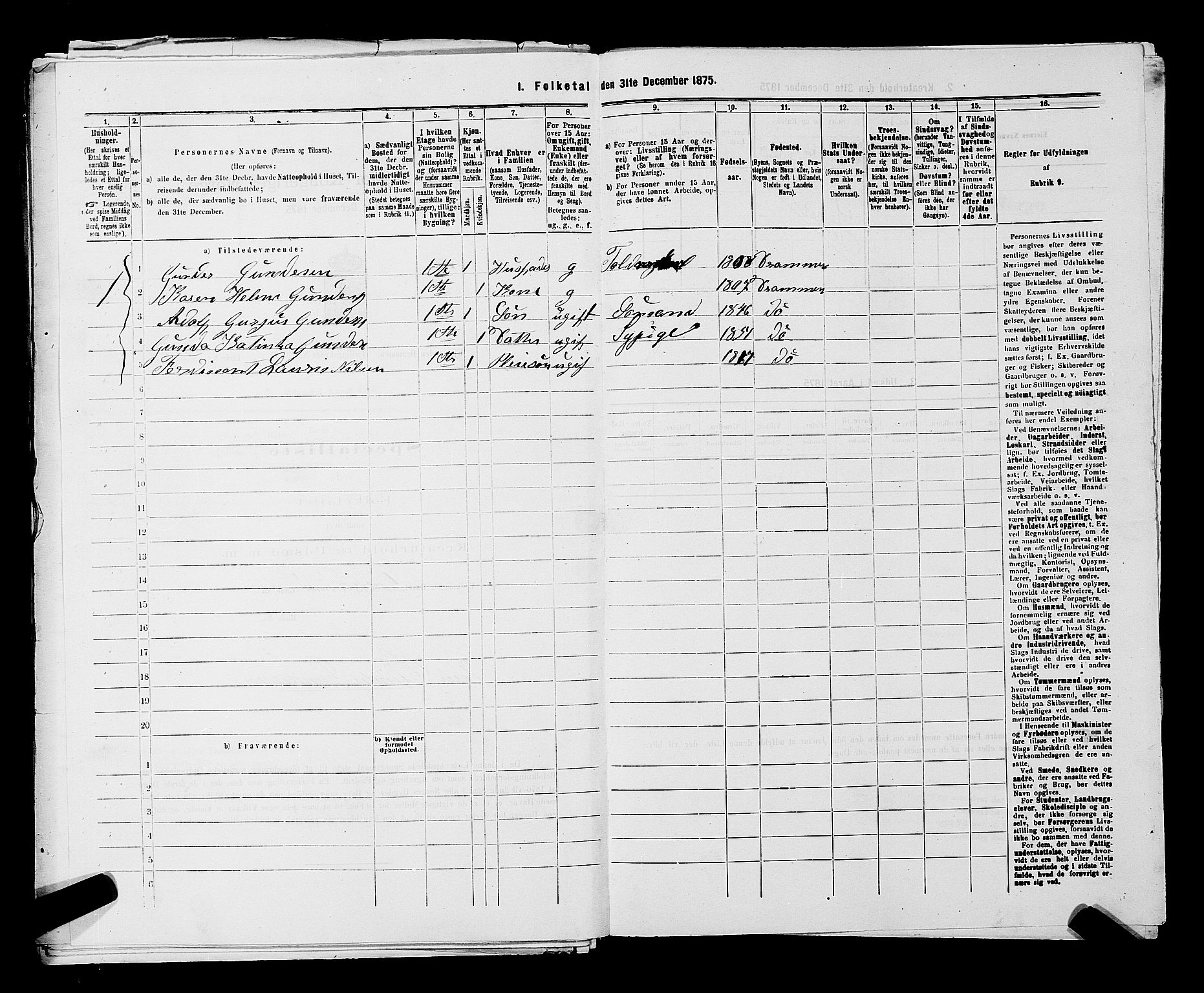 SAKO, 1875 census for 0602 Drammen, 1875, p. 2918