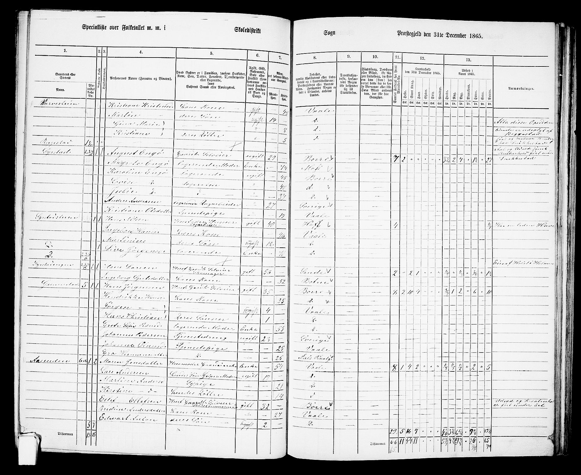 RA, 1865 census for Våle, 1865, p. 14