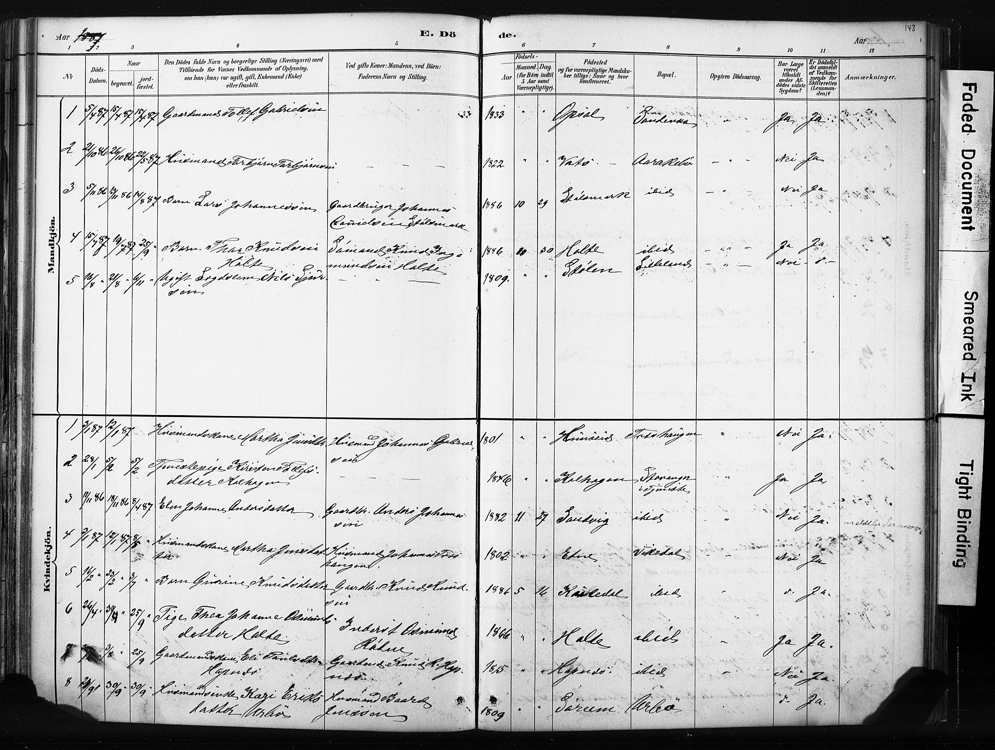 Vikedal sokneprestkontor, AV/SAST-A-101840/01/IV: Parish register (official) no. A 10, 1884-1907, p. 143