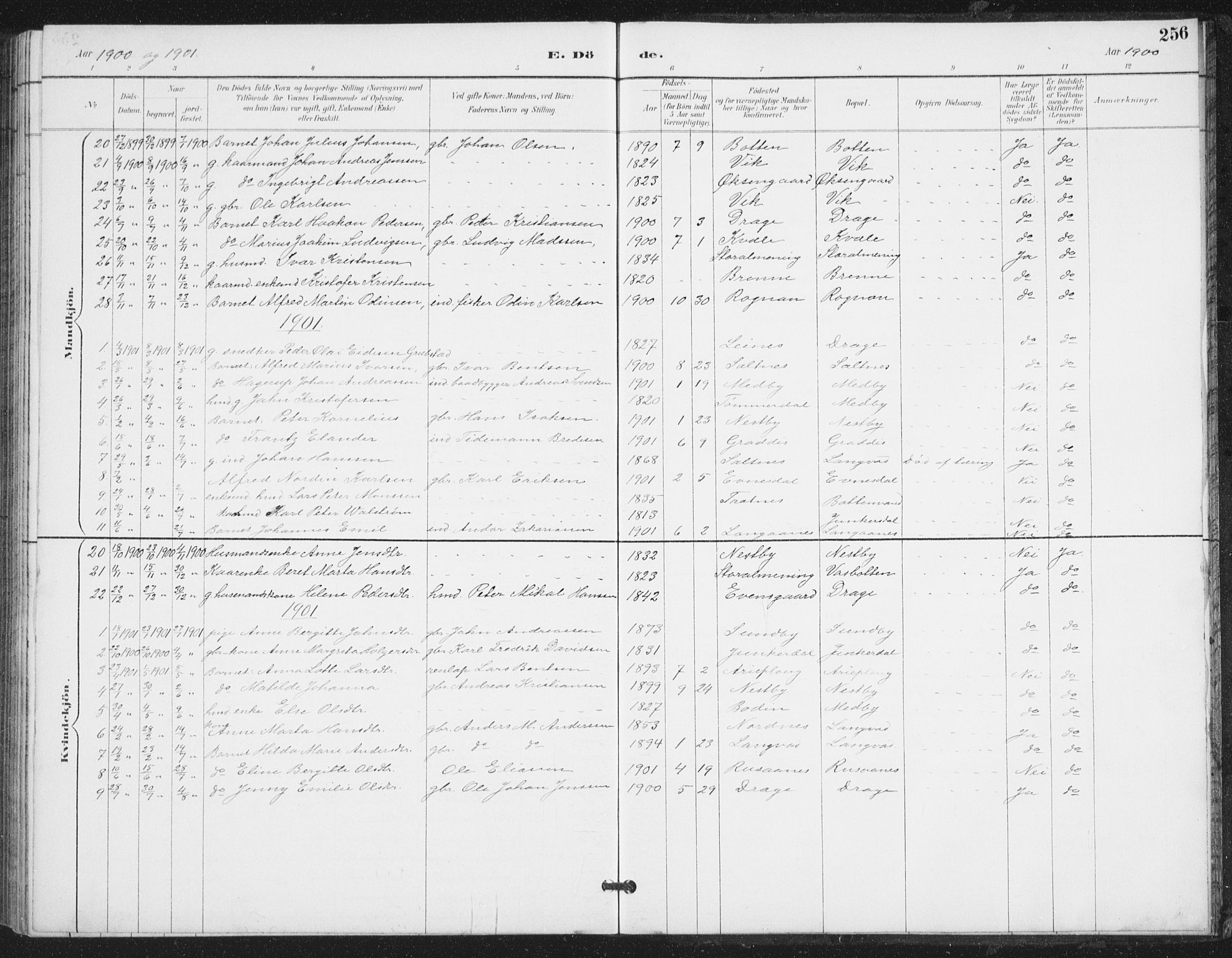 Ministerialprotokoller, klokkerbøker og fødselsregistre - Nordland, AV/SAT-A-1459/847/L0682: Parish register (copy) no. 847C10, 1889-1907, p. 256