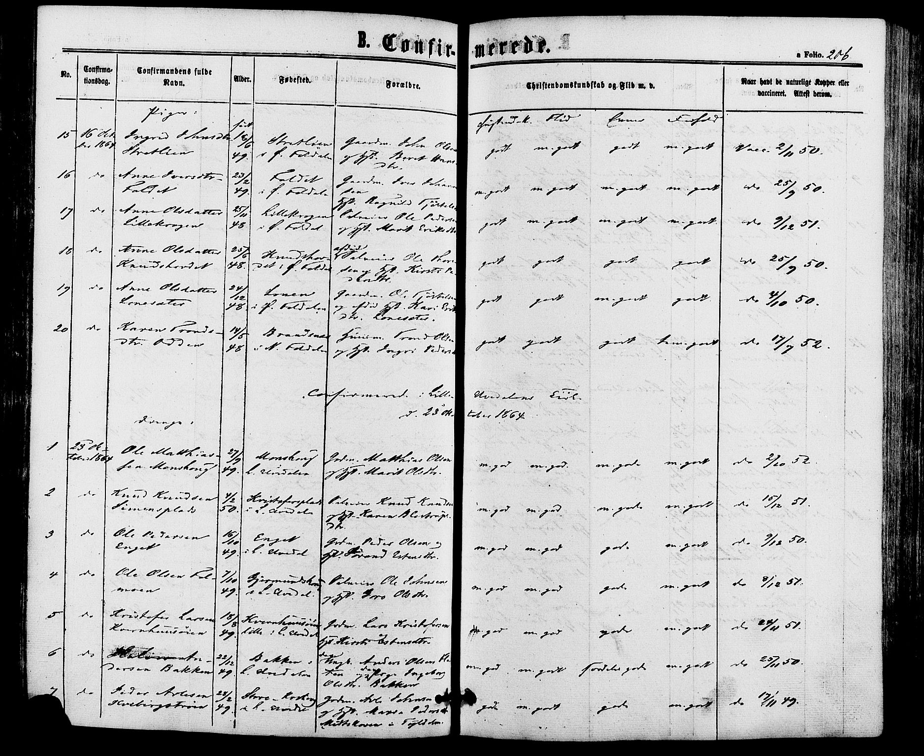 Alvdal prestekontor, AV/SAH-PREST-060/H/Ha/Haa/L0001: Parish register (official) no. 1, 1863-1882, p. 206