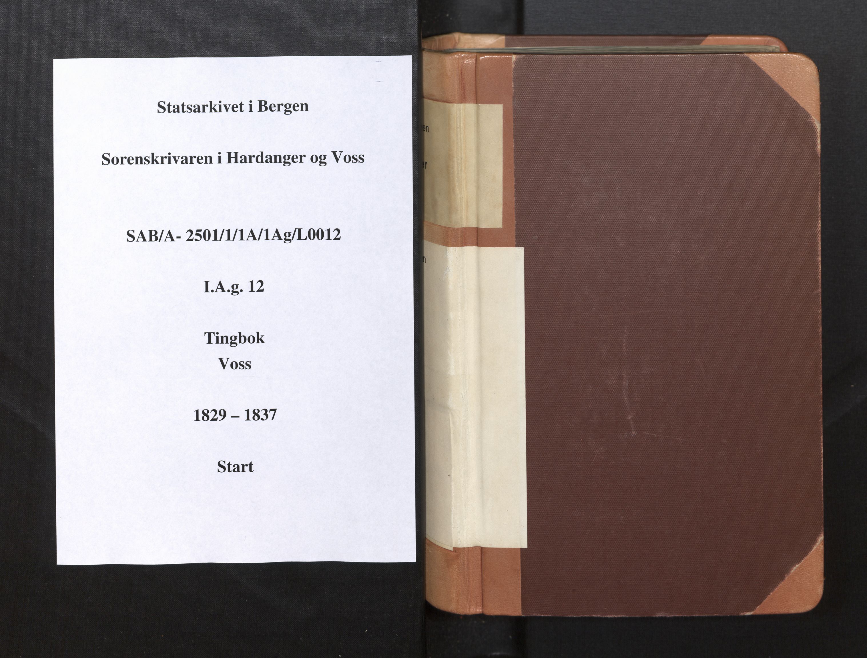 Hardanger og Voss sorenskriveri, SAB/A-2501/1/1A/1Ag/L0012: Tingbok for Voss, 1829-1837