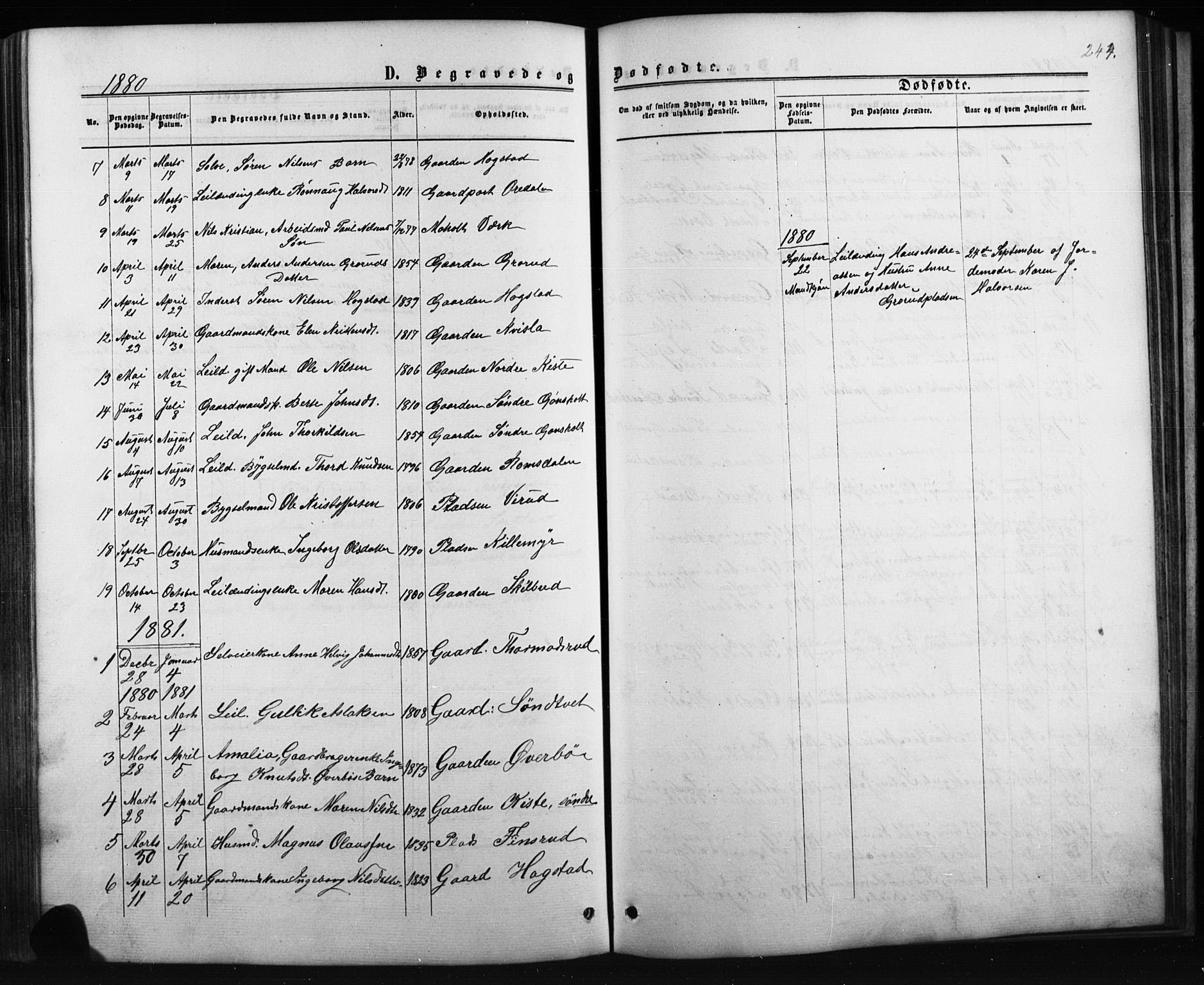 Siljan kirkebøker, AV/SAKO-A-300/G/Ga/L0002: Parish register (copy) no. 2, 1864-1908, p. 244