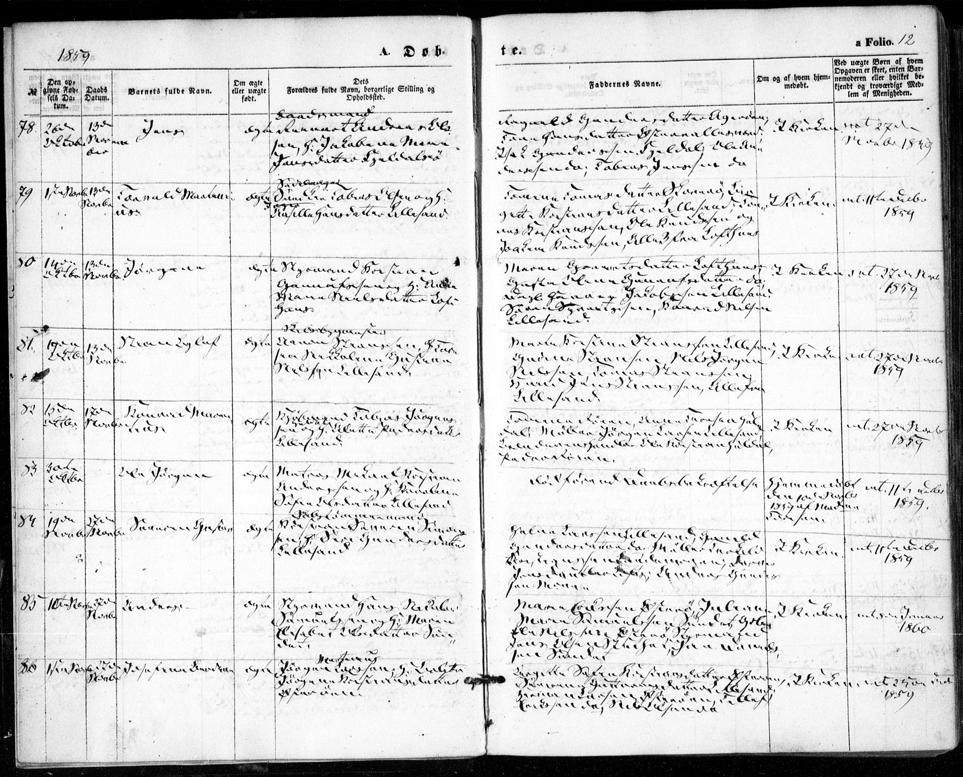 Vestre Moland sokneprestkontor, SAK/1111-0046/F/Fa/Fab/L0007: Parish register (official) no. A 7, 1859-1872, p. 12