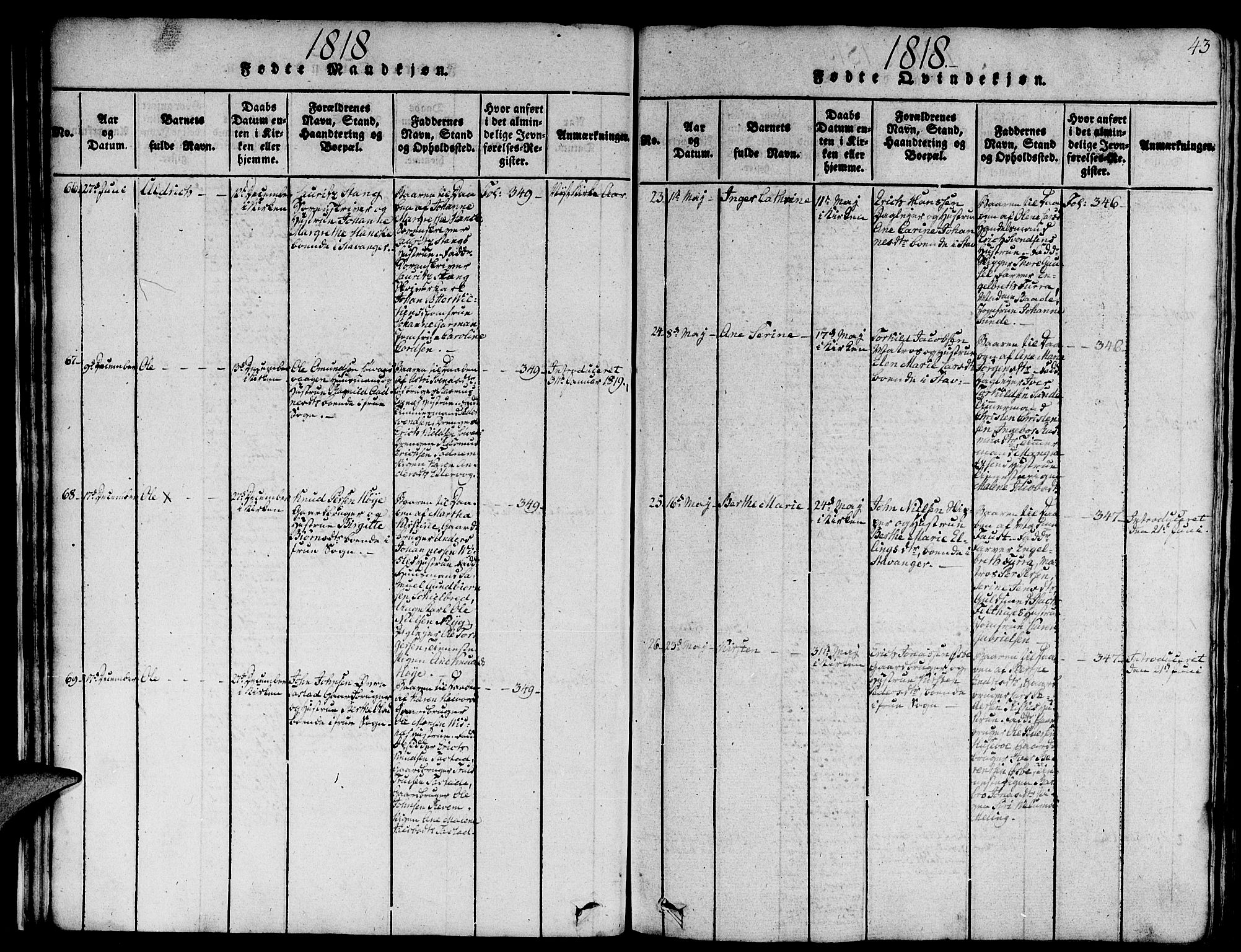 Domkirken sokneprestkontor, SAST/A-101812/001/30/30BA/L0008: Parish register (official) no. A 8, 1816-1821, p. 43