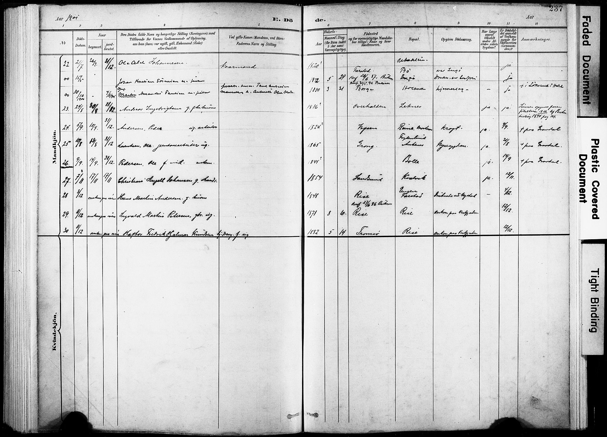 Ministerialprotokoller, klokkerbøker og fødselsregistre - Nordland, AV/SAT-A-1459/881/L1151: Parish register (official) no. 881A04, 1899-1907, p. 237