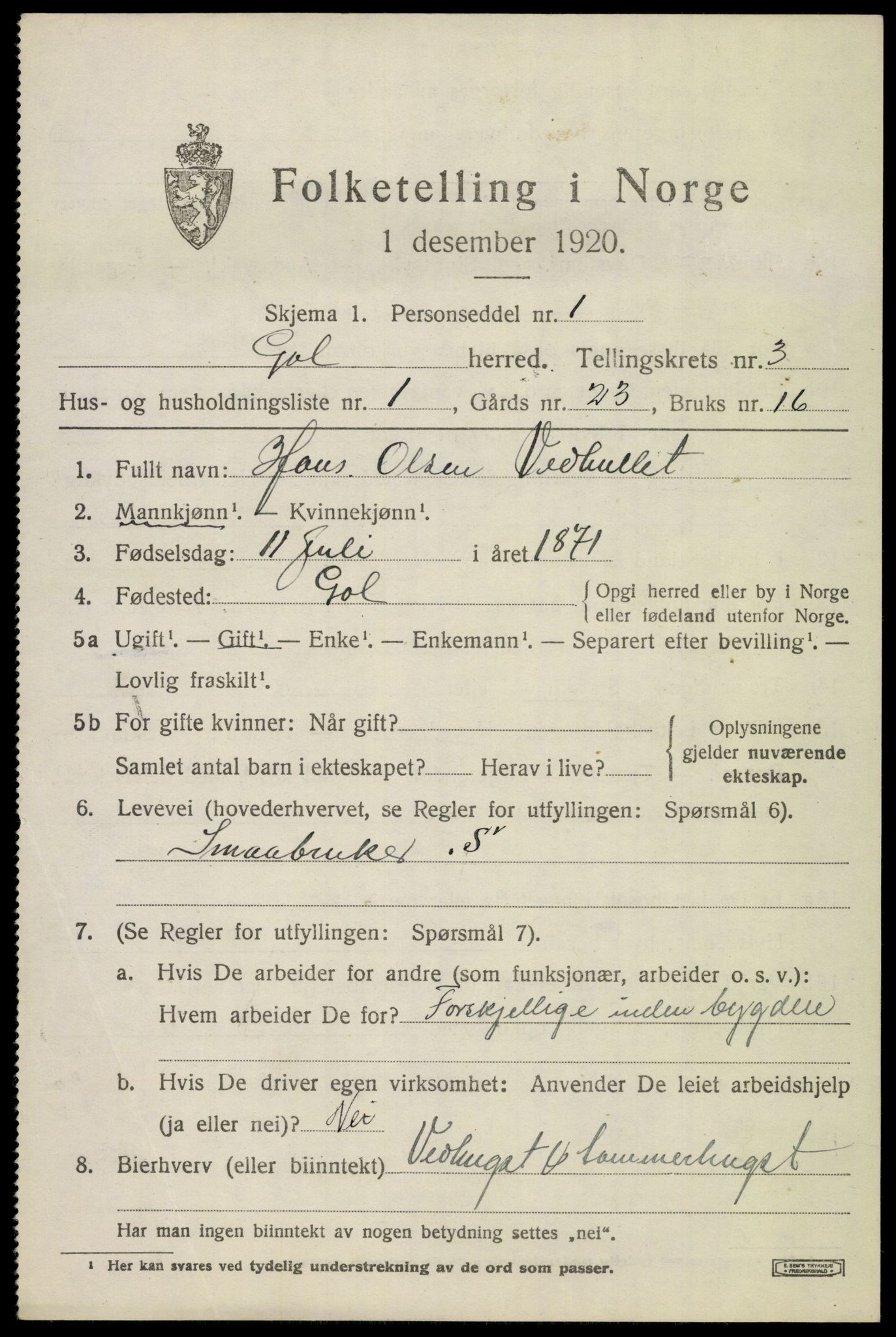 SAKO, 1920 census for Gol, 1920, p. 2182