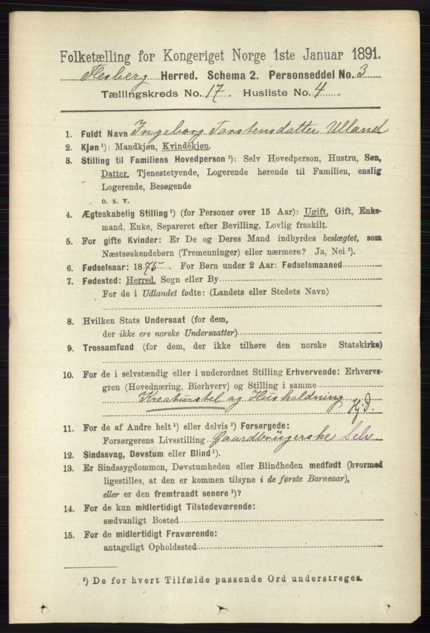RA, 1891 census for 0631 Flesberg, 1891, p. 3002