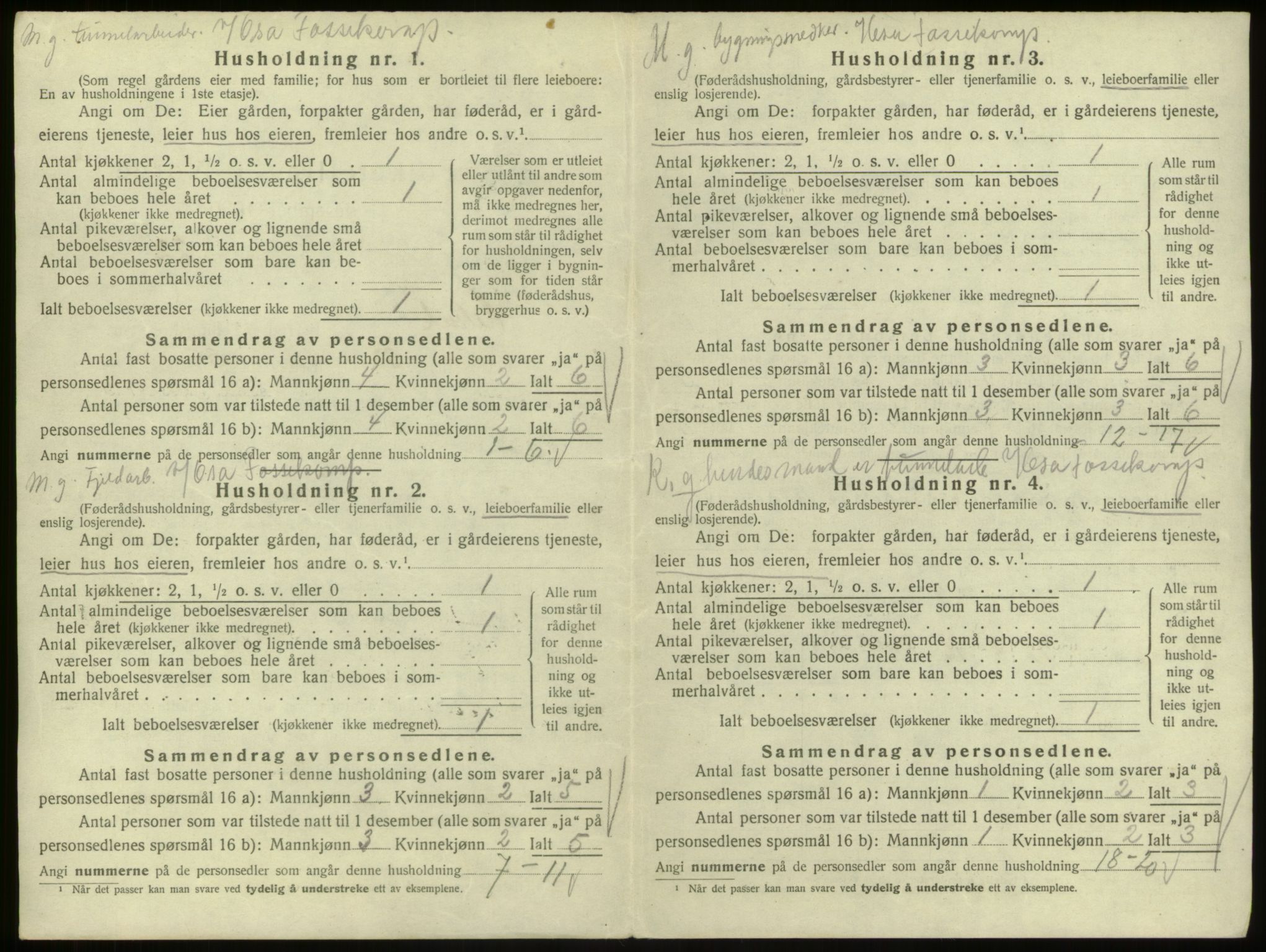 SAB, 1920 census for Ulvik, 1920, p. 20