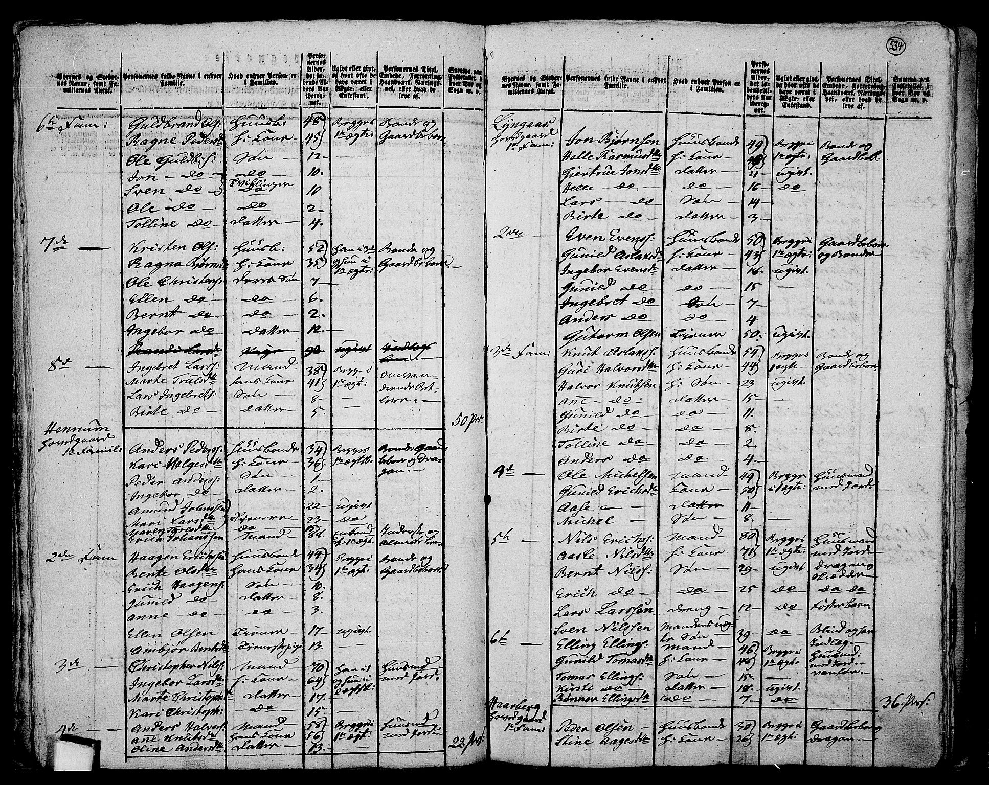 RA, 1801 census for 0626P Lier, 1801, p. 533b-534a