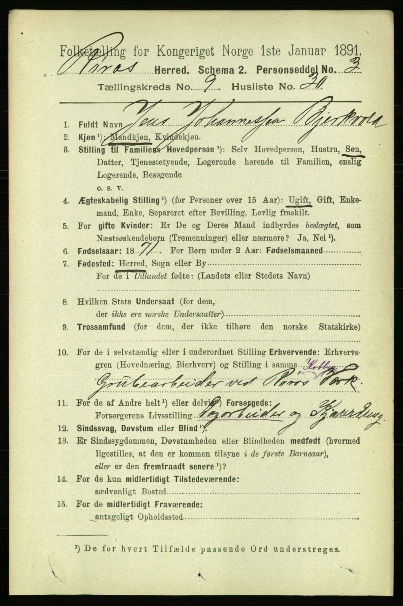 RA, 1891 census for 1640 Røros, 1891, p. 1977