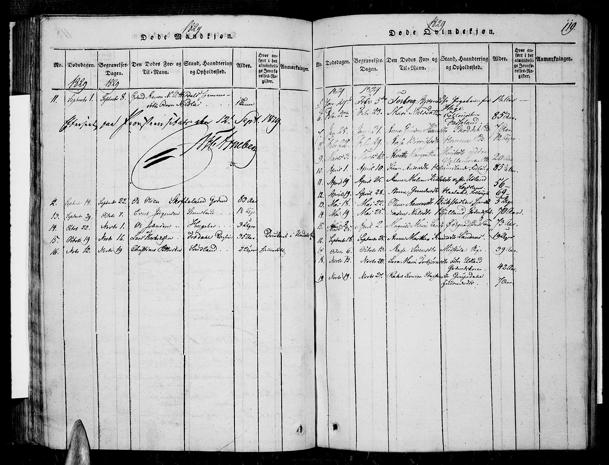 Sør-Audnedal sokneprestkontor, SAK/1111-0039/F/Fa/Fab/L0005: Parish register (official) no. A 5, 1816-1830, p. 119