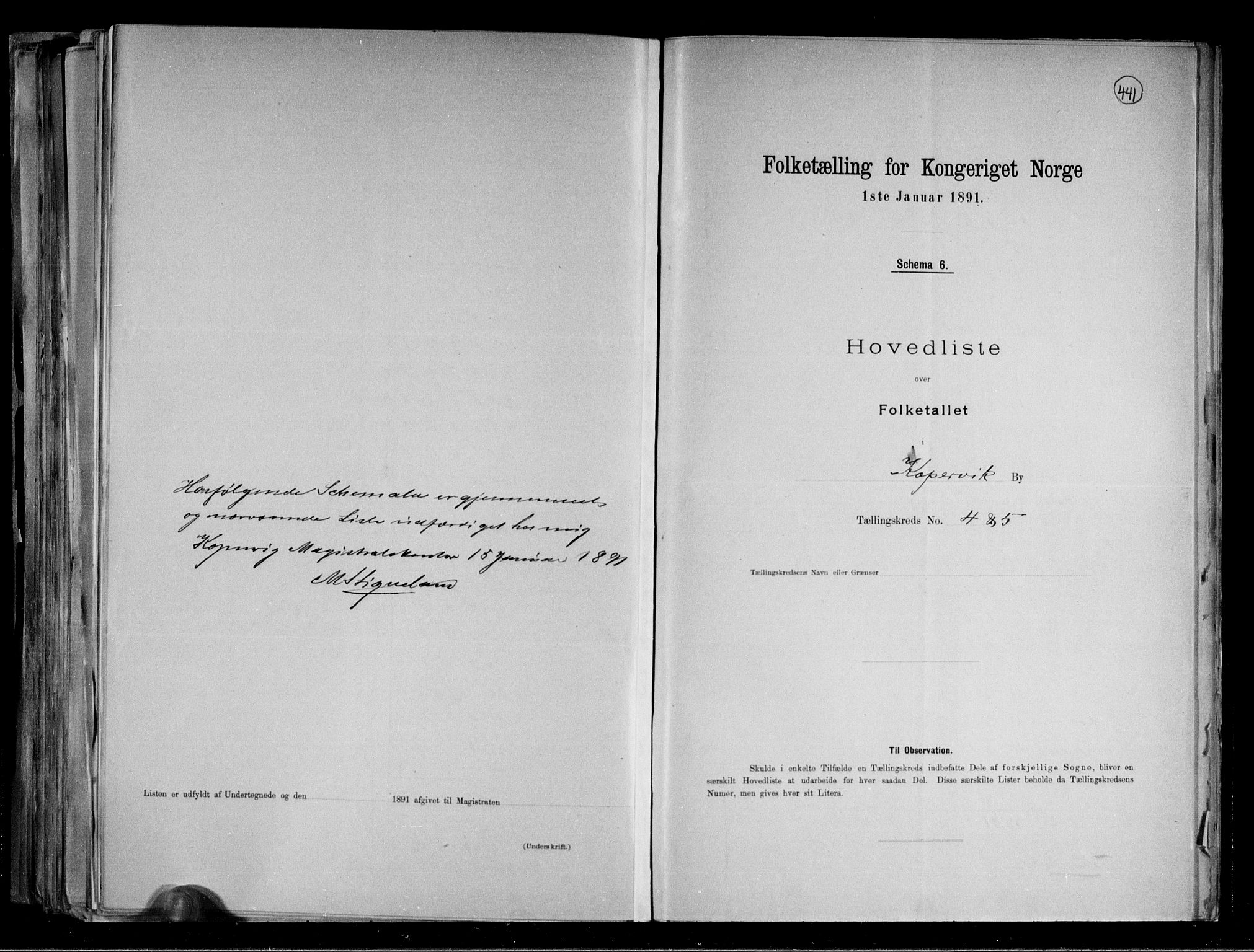 RA, 1891 census for 1105 Kopervik, 1891, p. 9