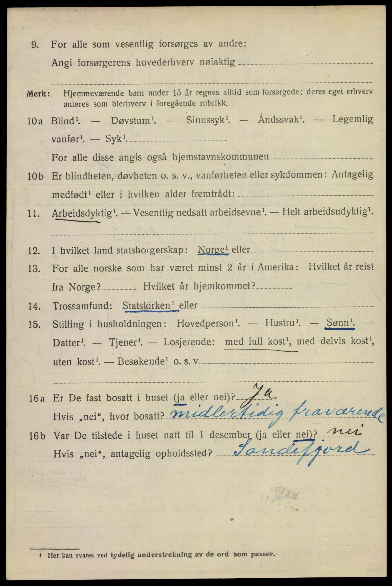 SAKO, 1920 census for Porsgrunn, 1920, p. 17390