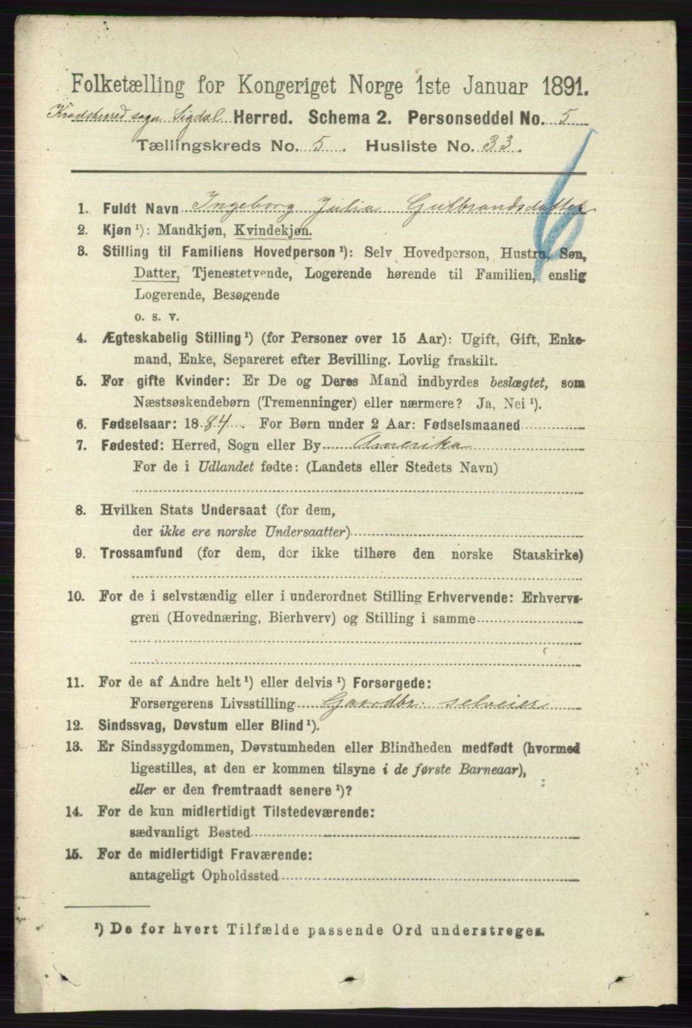 RA, 1891 census for 0621 Sigdal, 1891, p. 6493