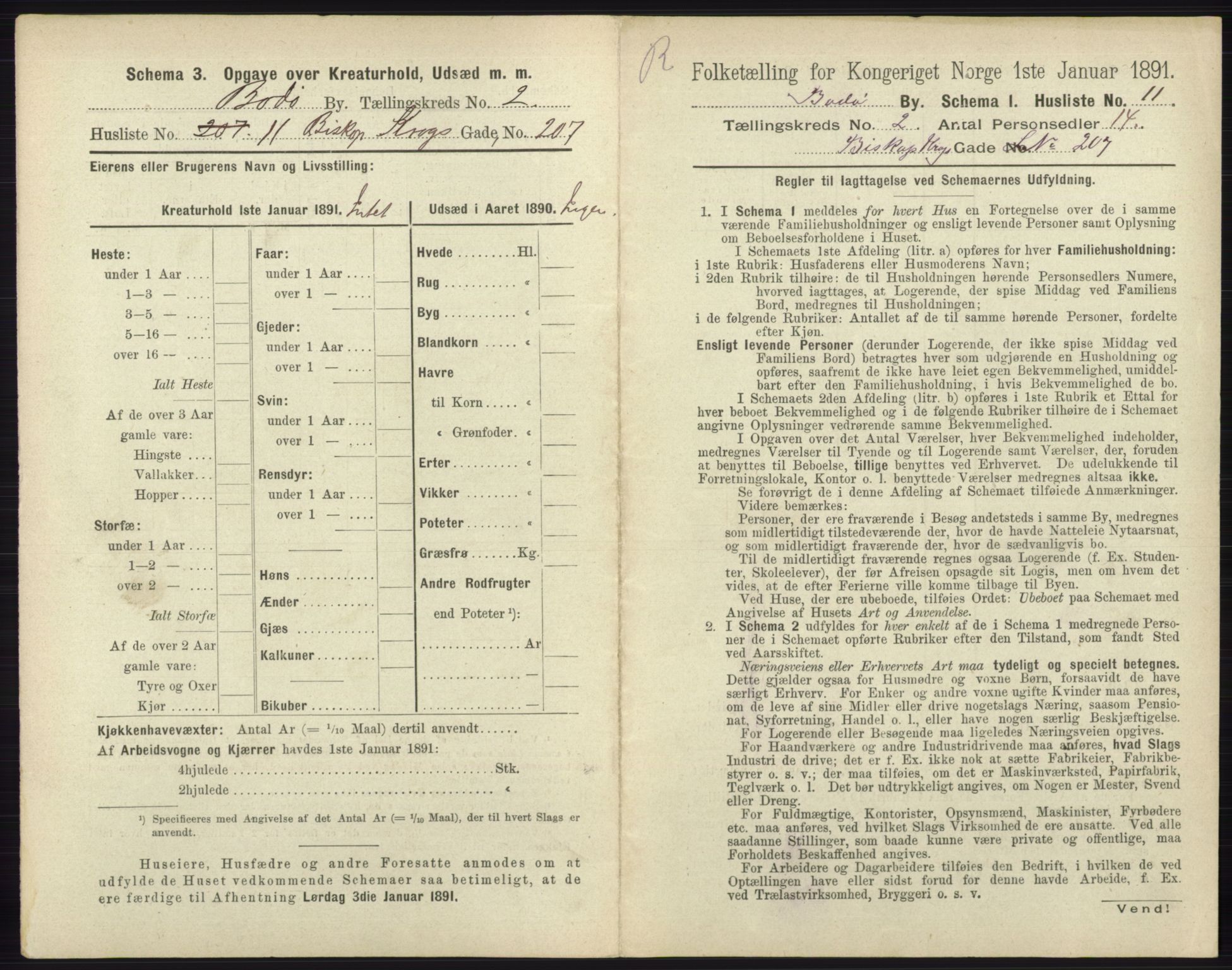 RA, 1891 census for 1804 Bodø, 1891, p. 870