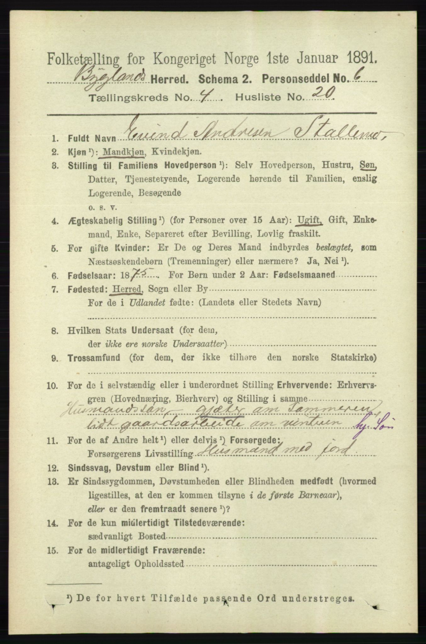 RA, 1891 census for 0938 Bygland, 1891, p. 984