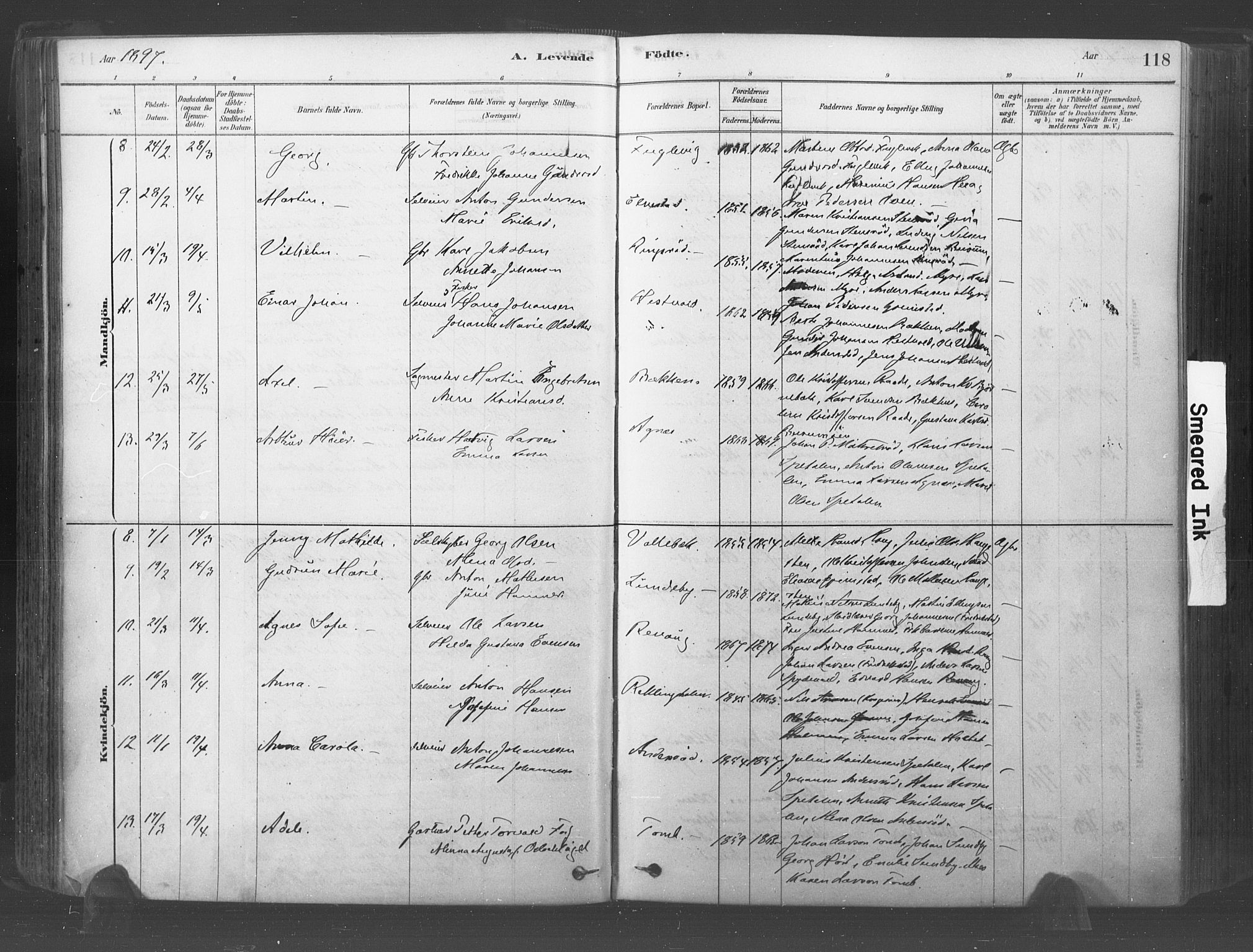 Råde prestekontor kirkebøker, AV/SAO-A-2009/F/Fa/L0007: Parish register (official) no. 7, 1878-1902, p. 118