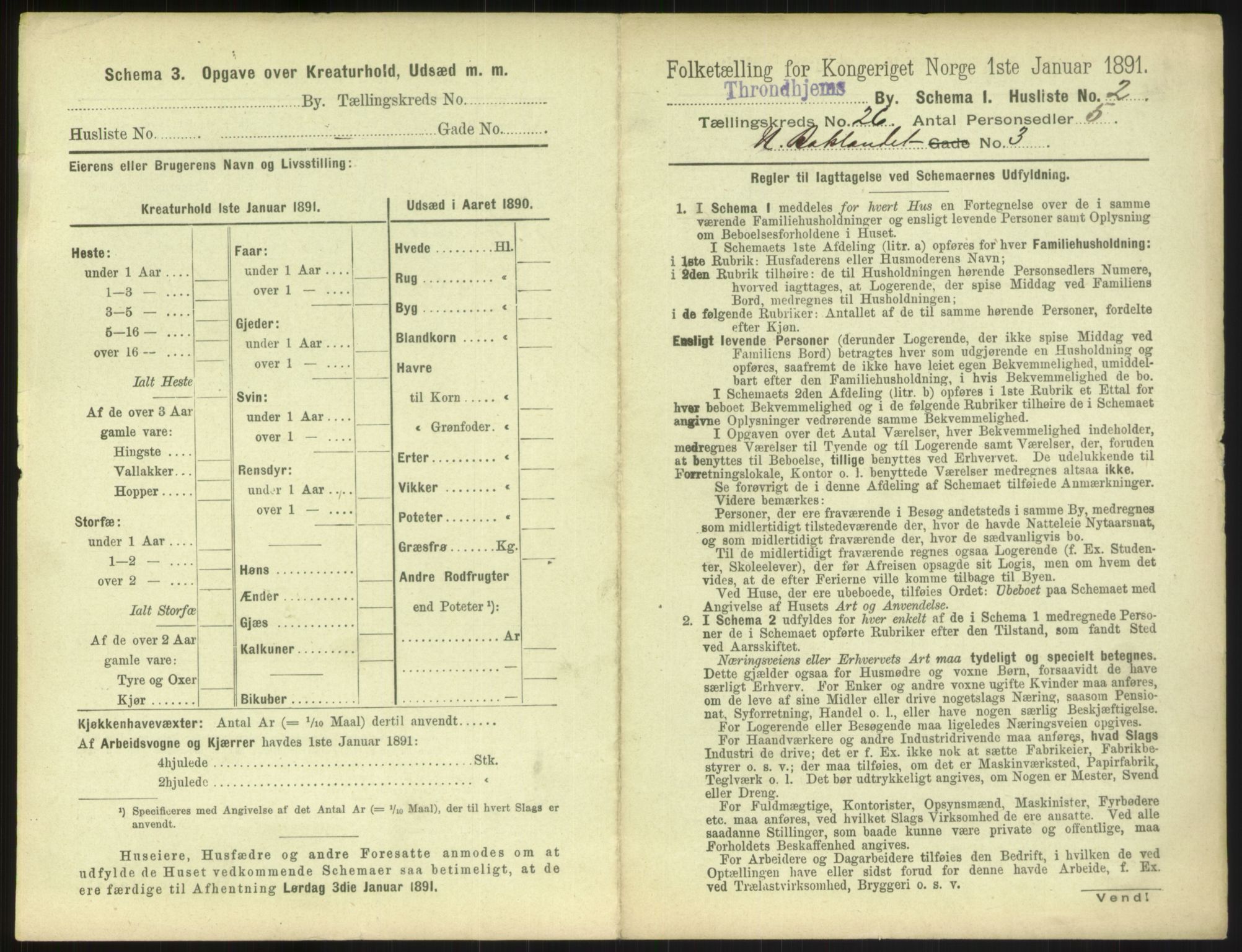 RA, 1891 census for 1601 Trondheim, 1891, p. 1766