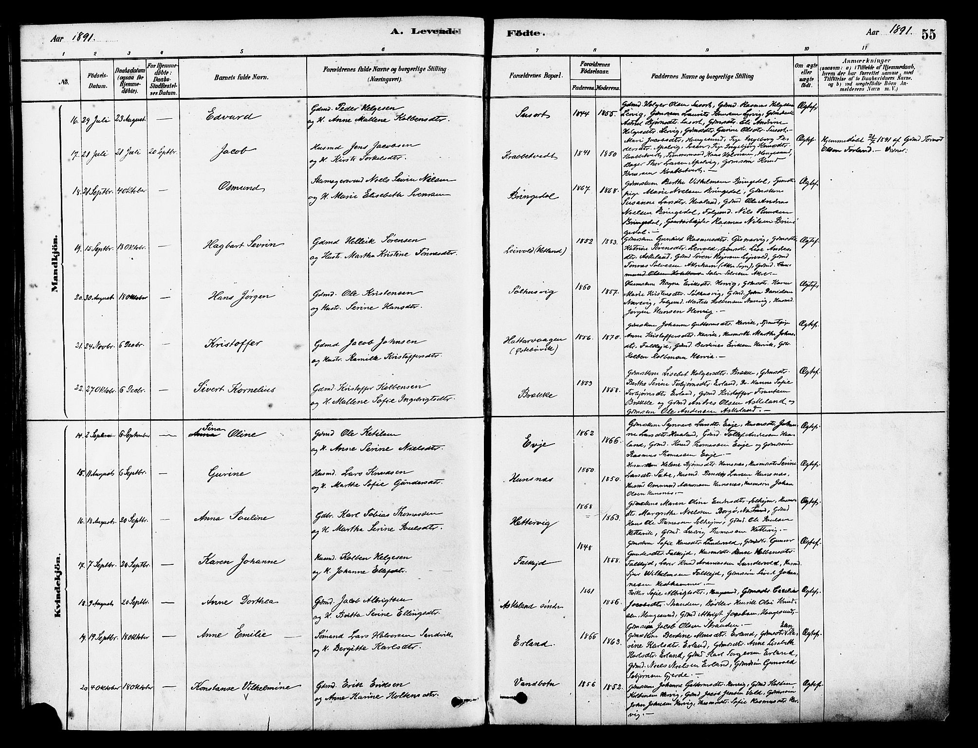 Tysvær sokneprestkontor, AV/SAST-A -101864/H/Ha/Haa/L0006: Parish register (official) no. A 6, 1878-1896, p. 55