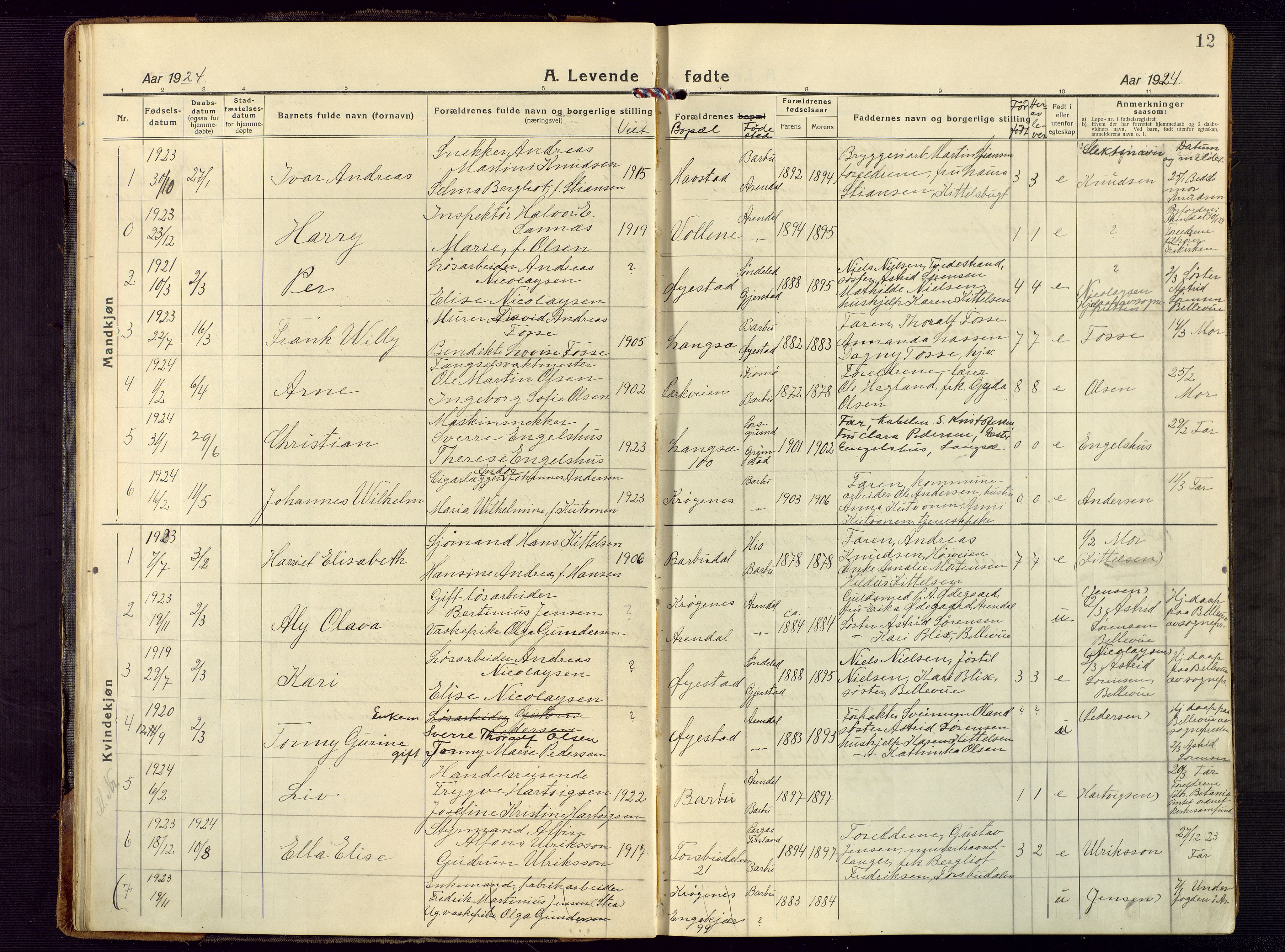 Barbu sokneprestkontor, AV/SAK-1111-0003/F/Fb/L0005: Parish register (copy) no. B 5, 1923-1946, p. 12