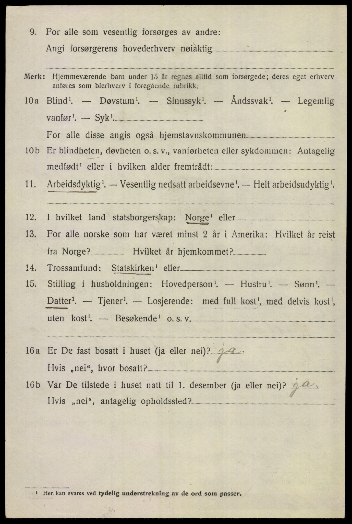 SAKO, 1920 census for Hemsedal, 1920, p. 989