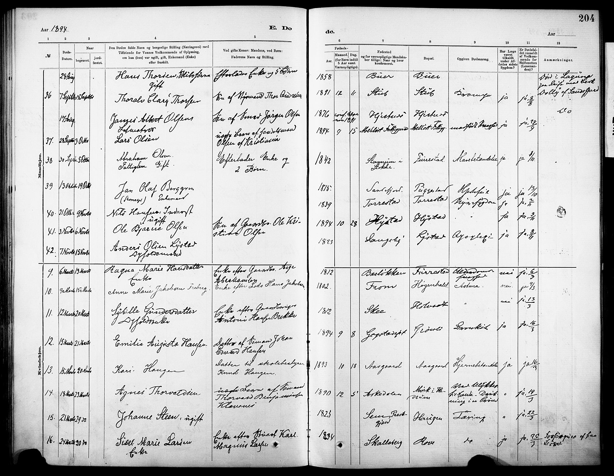 Sandar kirkebøker, SAKO/A-243/F/Fa/L0013: Parish register (official) no. 13, 1883-1895, p. 204