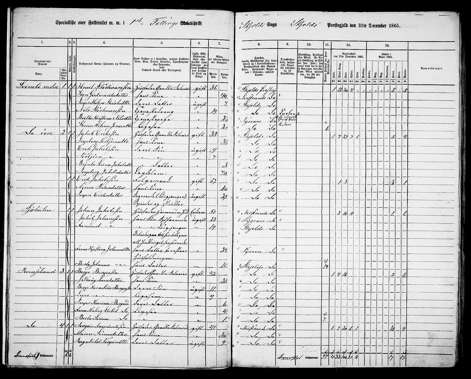 RA, 1865 census for Skjold, 1865, p. 12