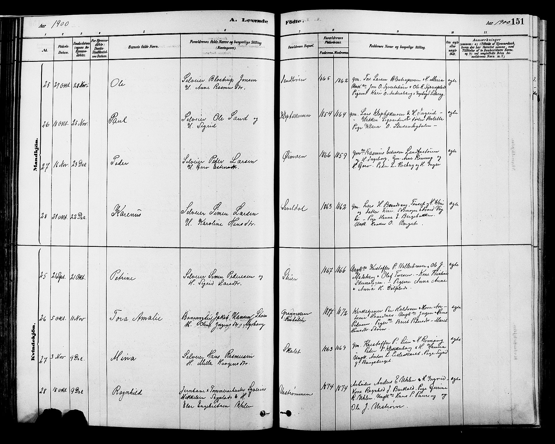 Alvdal prestekontor, AV/SAH-PREST-060/H/Ha/Hab/L0003: Parish register (copy) no. 3, 1878-1907, p. 151