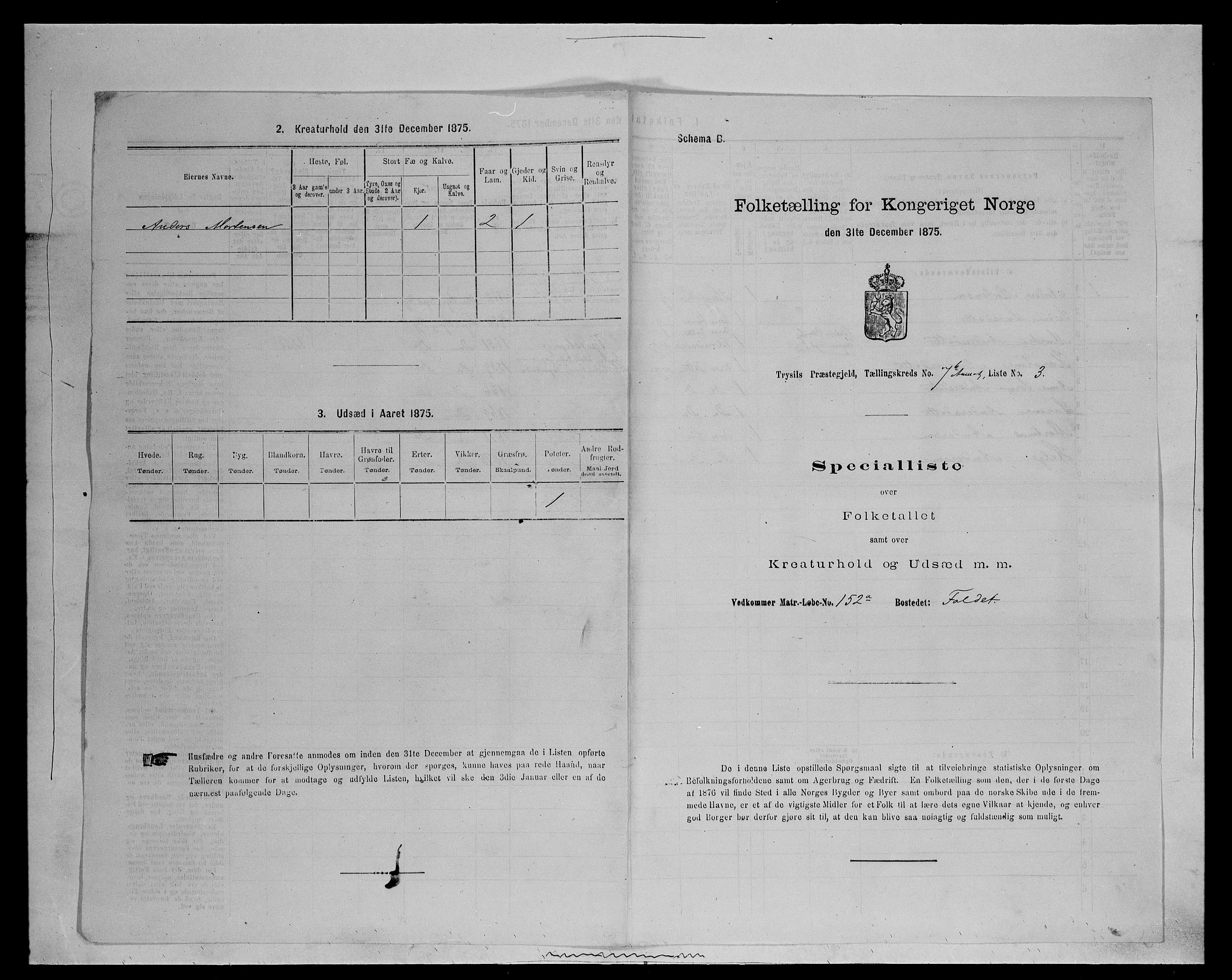 SAH, 1875 census for 0428P Trysil, 1875, p. 1436