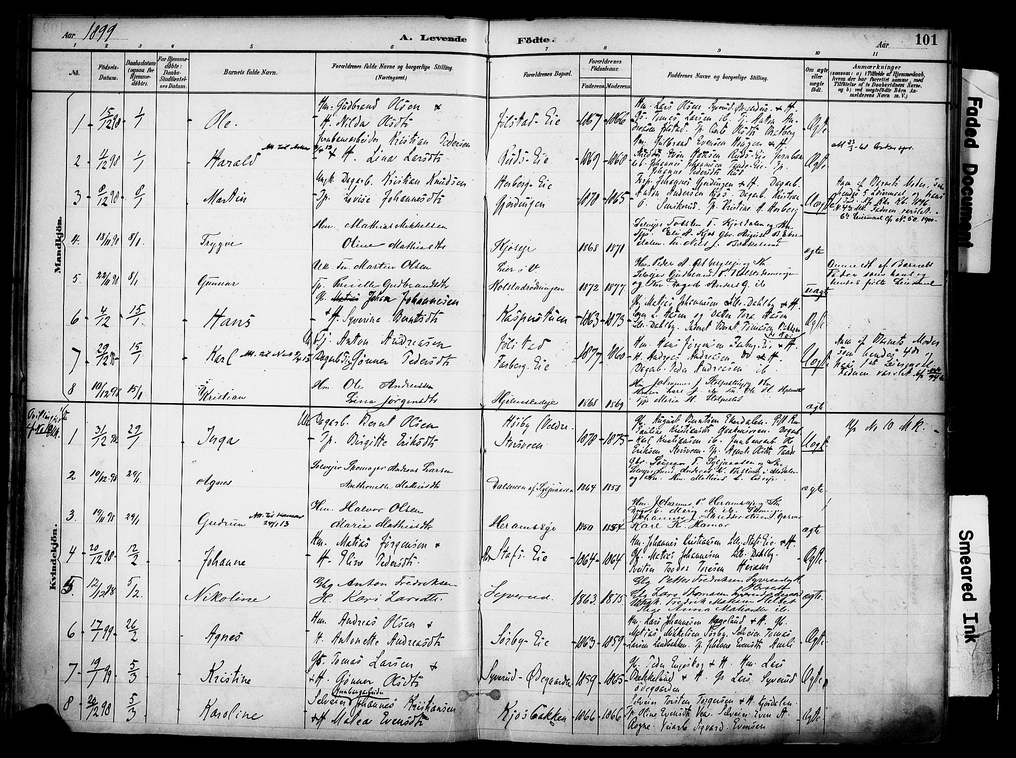 Ringsaker prestekontor, AV/SAH-PREST-014/K/Ka/L0017: Parish register (official) no. 17, 1891-1902, p. 101