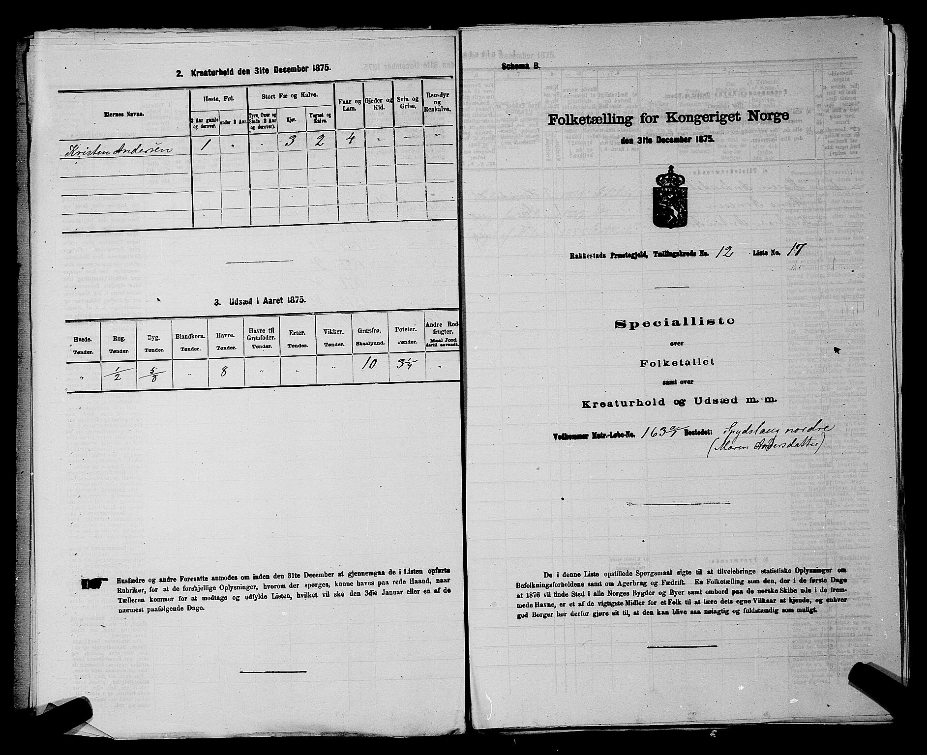 RA, 1875 census for 0128P Rakkestad, 1875, p. 1420