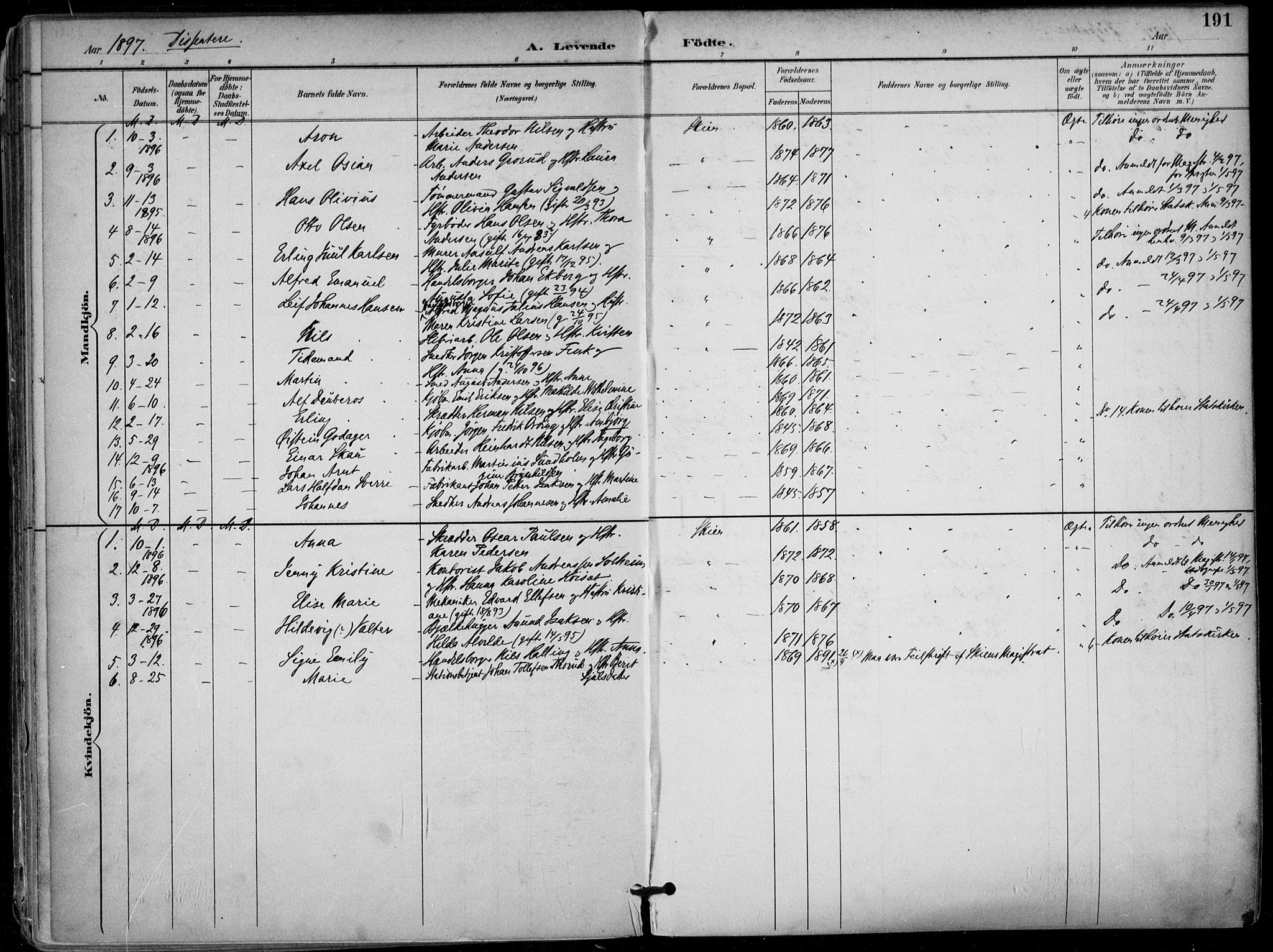 Skien kirkebøker, SAKO/A-302/F/Fa/L0010: Parish register (official) no. 10, 1891-1899, p. 191