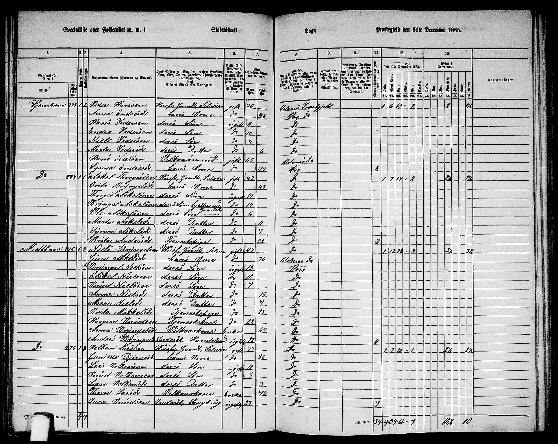 RA, 1865 census for Voss, 1865, p. 140