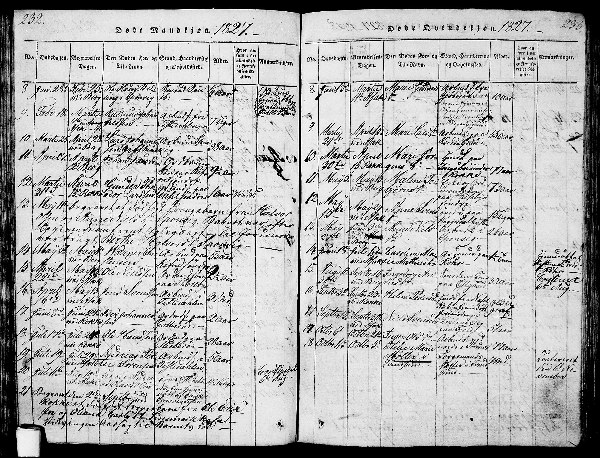 Berg prestekontor Kirkebøker, AV/SAO-A-10902/G/Ga/L0001: Parish register (copy) no. I 1, 1815-1832, p. 232-233