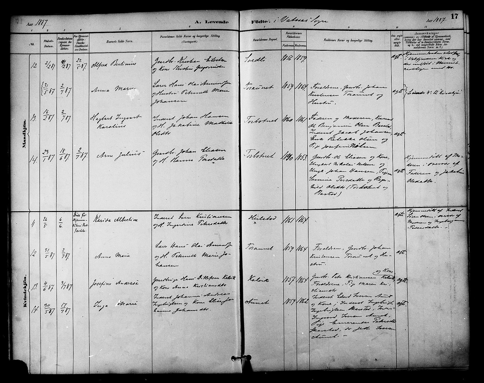 Ministerialprotokoller, klokkerbøker og fødselsregistre - Nordland, AV/SAT-A-1459/810/L0150: Parish register (official) no. 810A10 /1, 1884-1895, p. 17