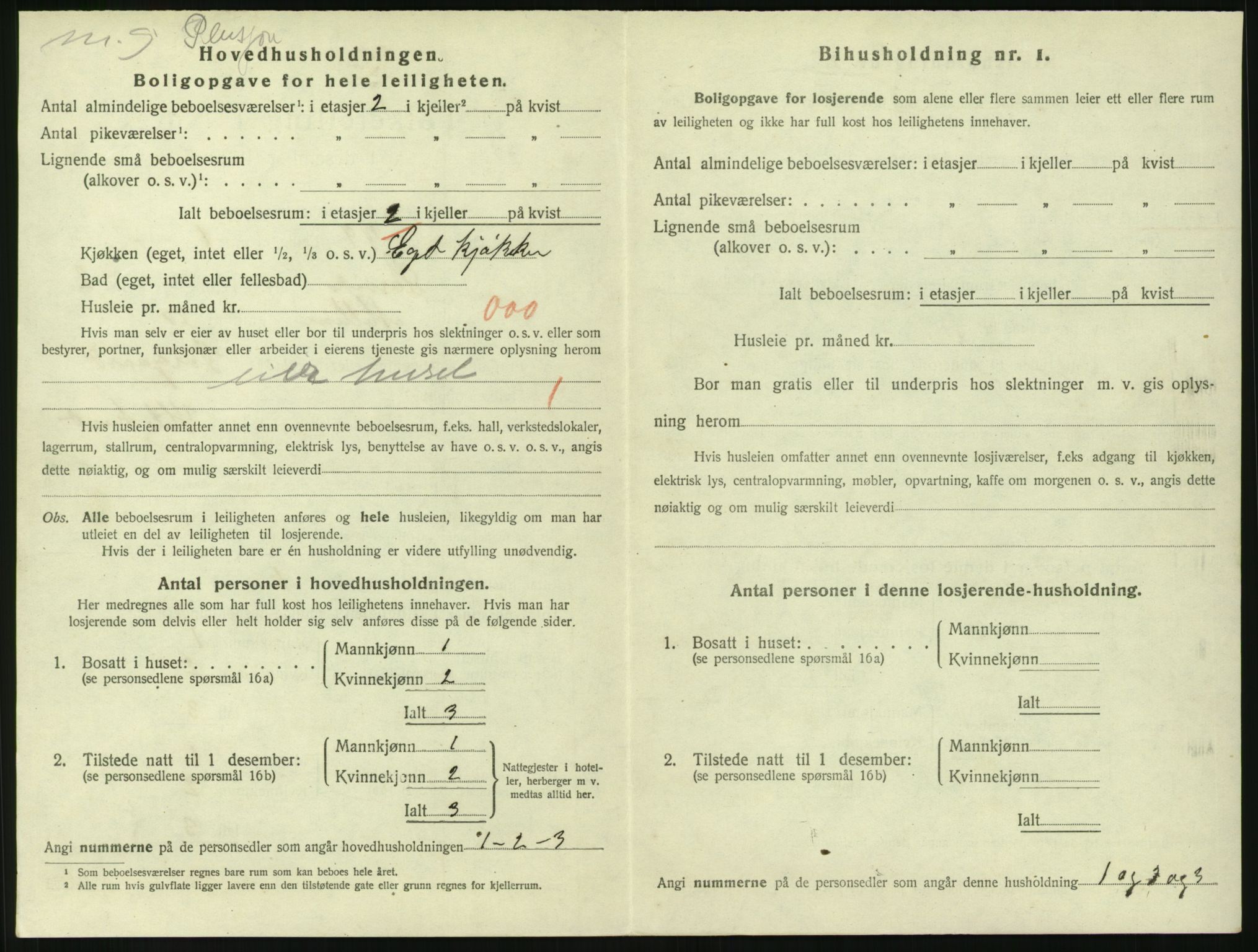 SAKO, 1920 census for Larvik, 1920, p. 3597