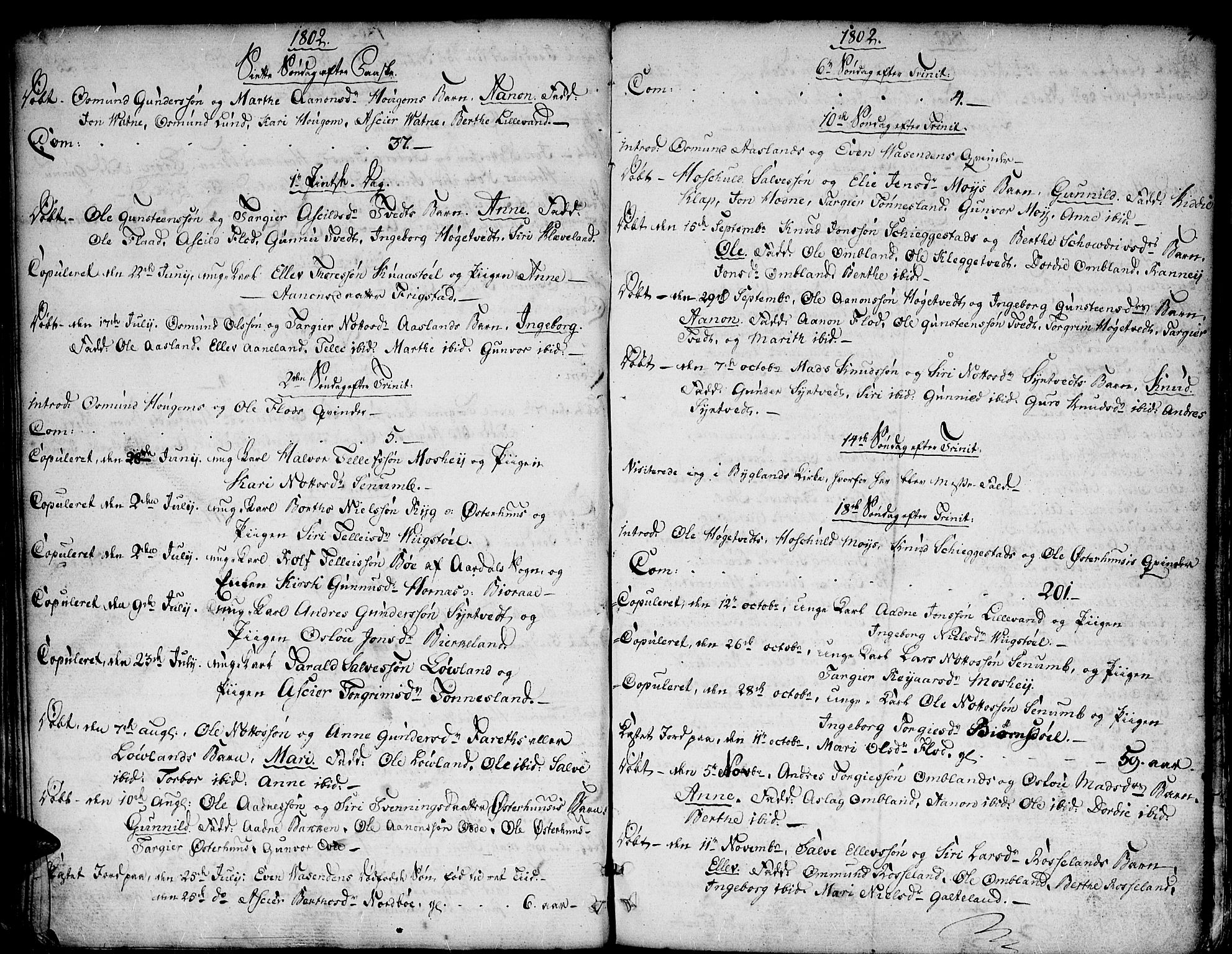 Evje sokneprestkontor, AV/SAK-1111-0008/F/Fa/Faa/L0003: Parish register (official) no. A 3, 1787-1816, p. 44